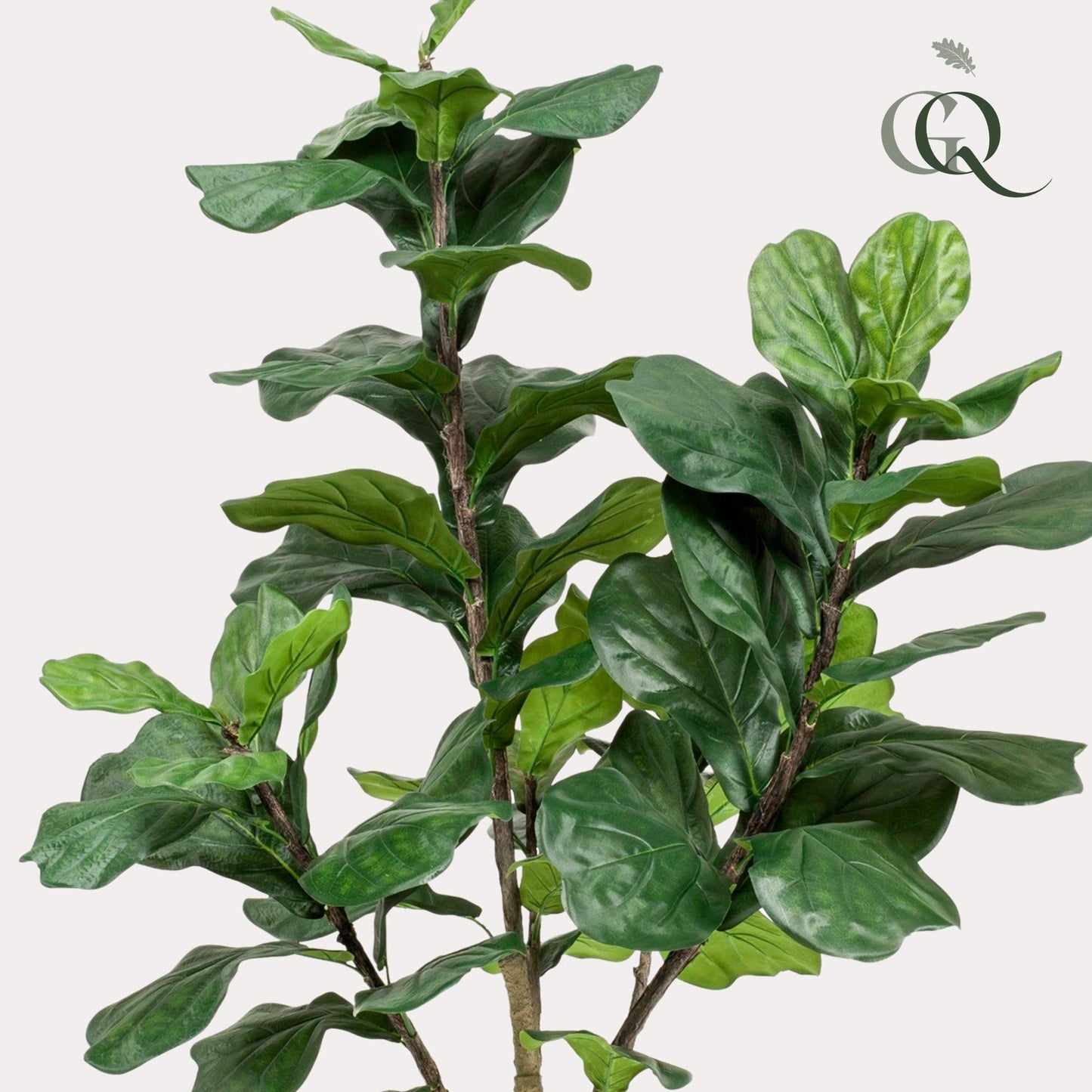 Kunstplant - Ficus Lyrata - Tabaksplant - 180 cm - Forest Plants