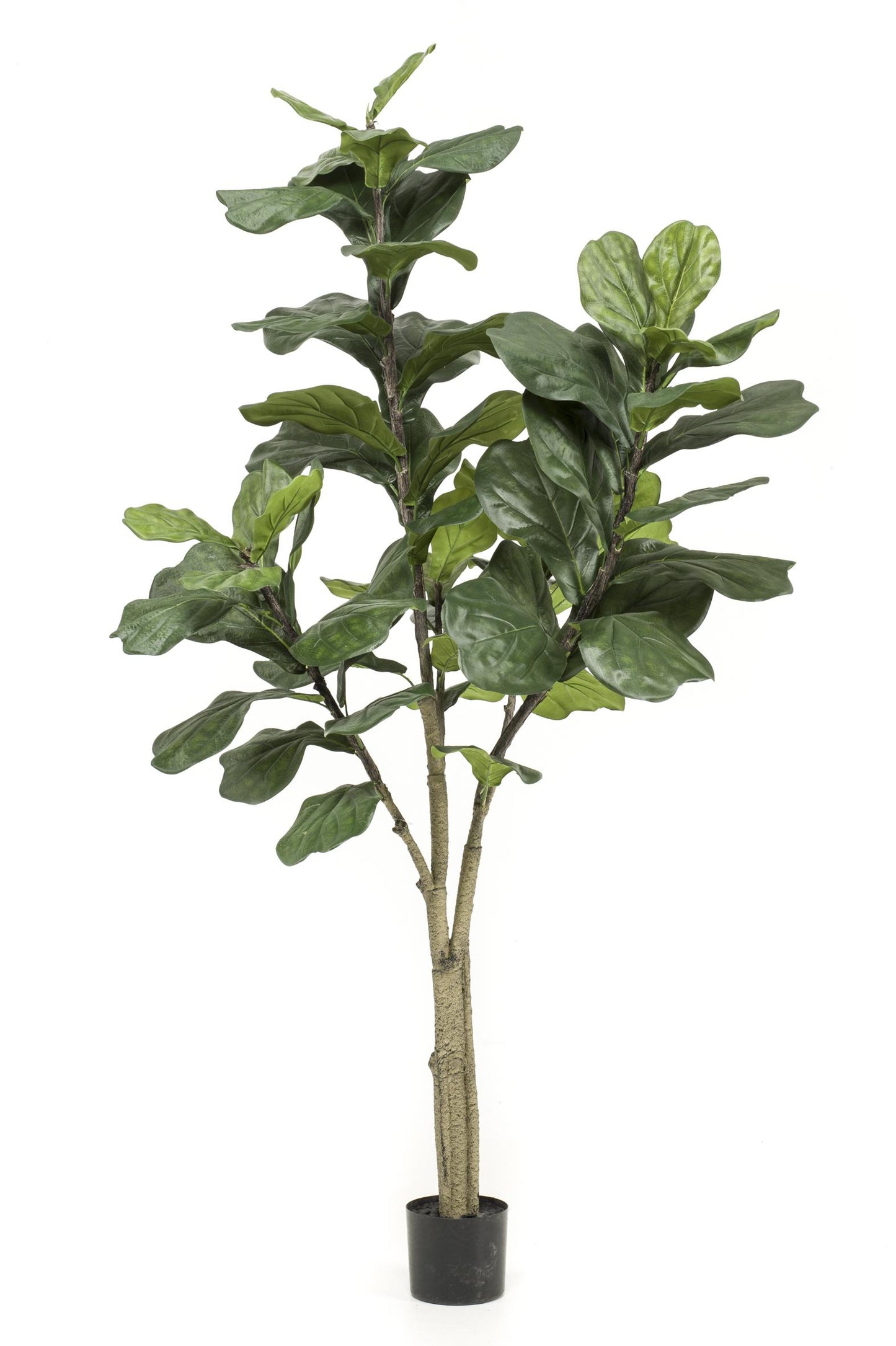 Kunstplant - Ficus Lyrata - Tabaksplant - 180 cm - Forest Plants