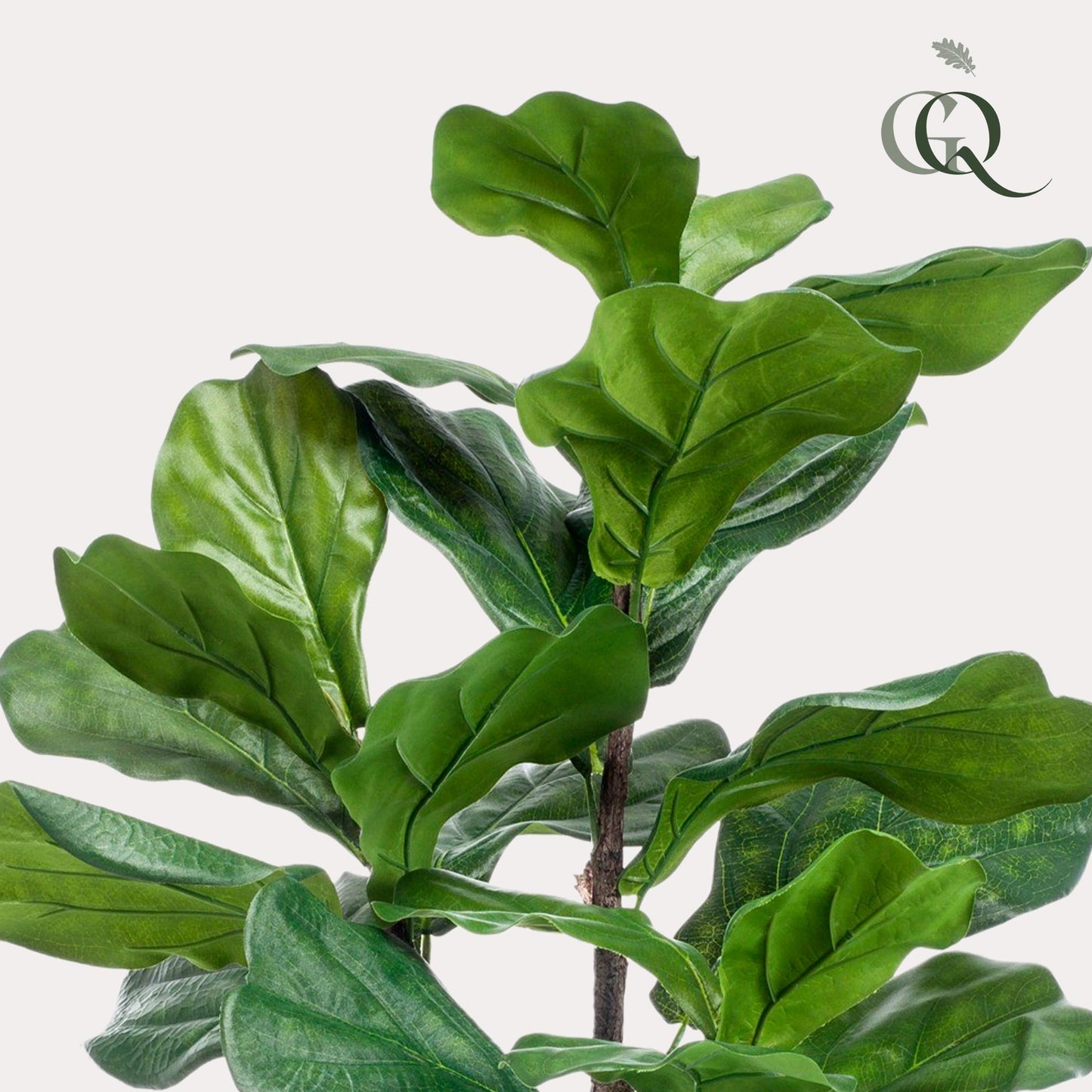 Kunstplant - Ficus Lyrata - Tabaksplant - 90 cm - Forest Plants