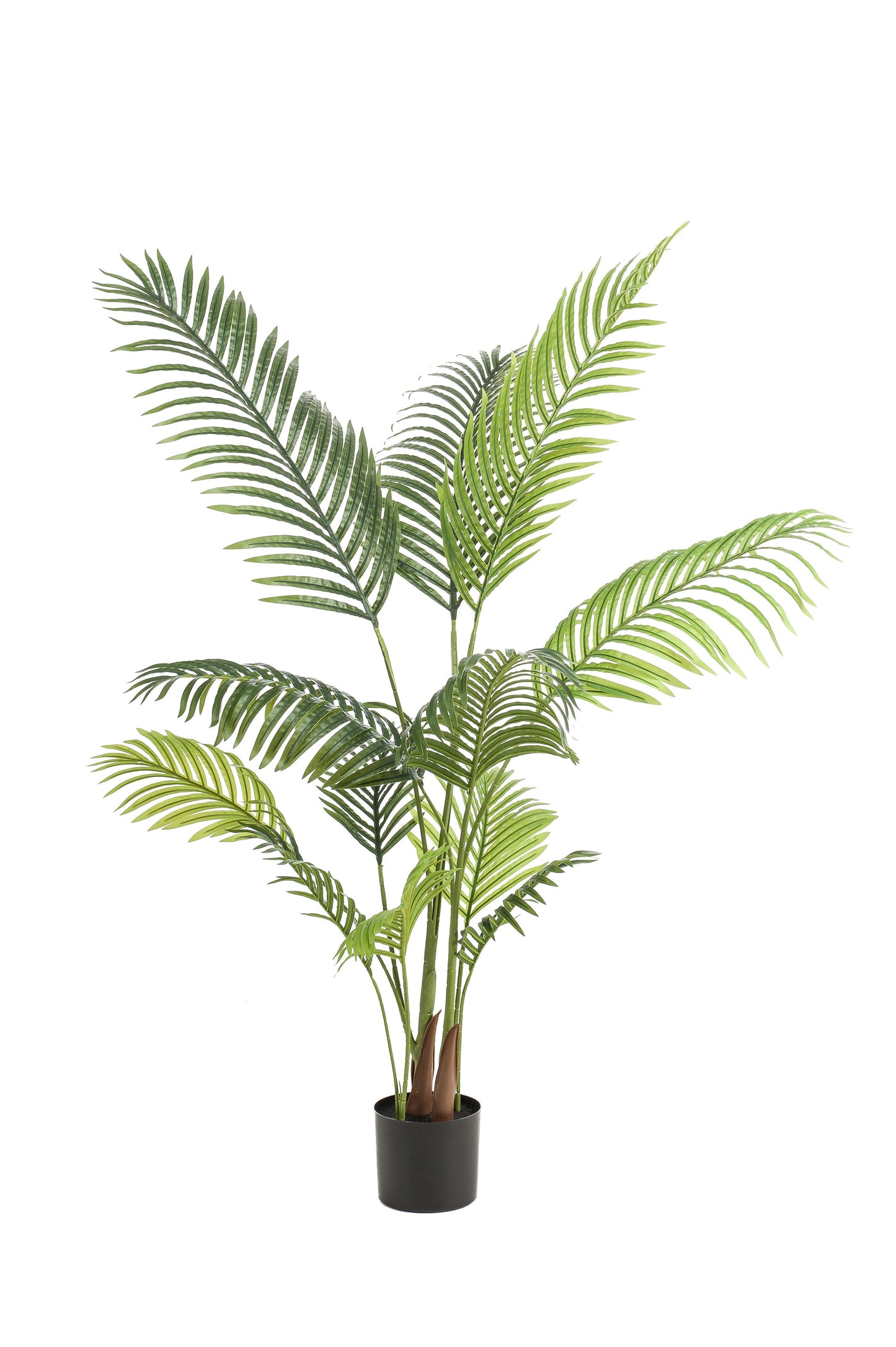 Kunstplant - Howea Forsteriana - 140 cm - Forest Plants