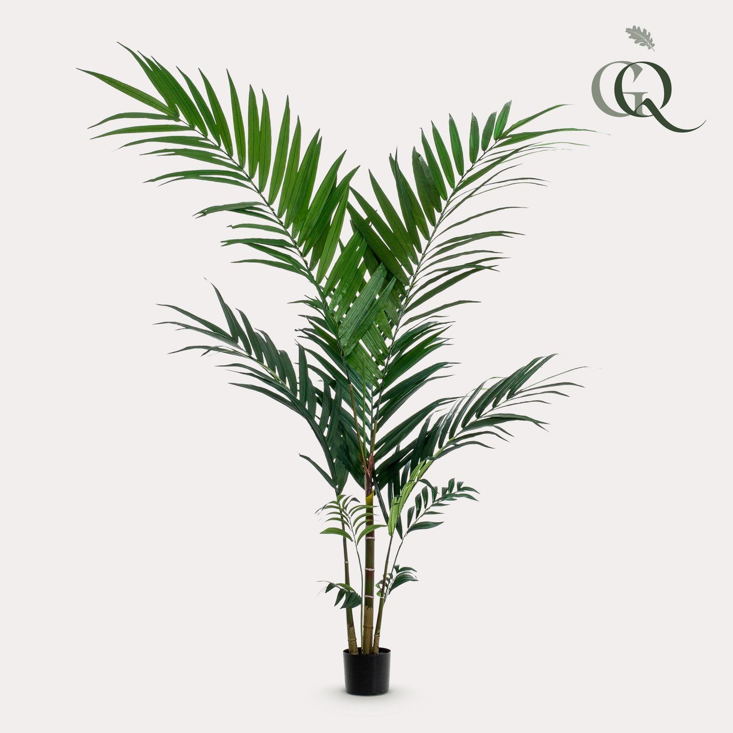 Kunstplant - Kentiapalm - 150 cm - Forest Plants