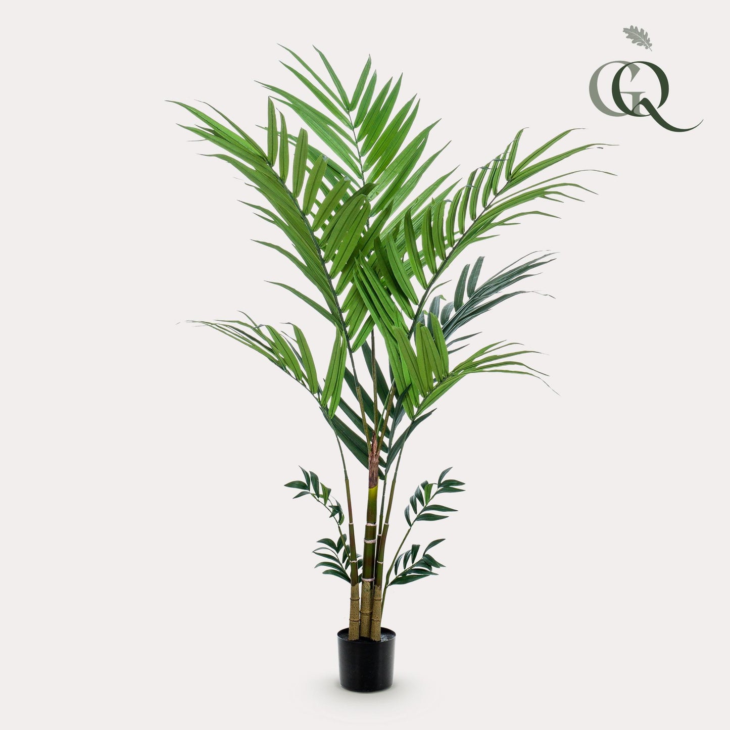 Kunstplant - Kentia - Kentiapalm - 180 cm - Forest Plants
