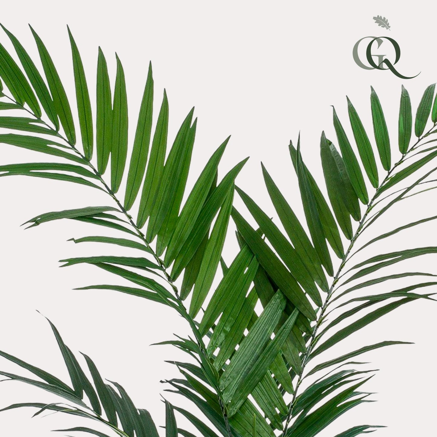 Kunstplant - Kentiapalm - 150 cm - Forest Plants