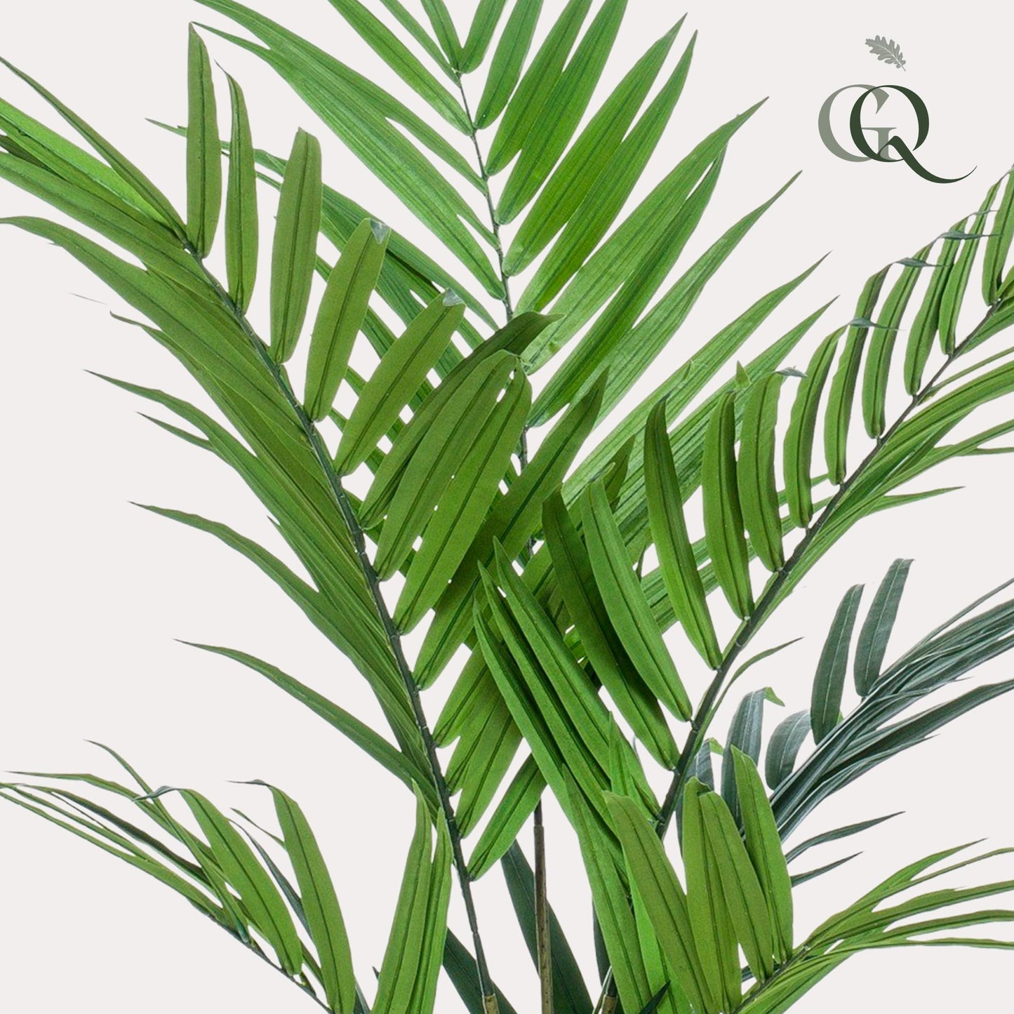 Kunstplant - Kentia - Kentiapalm - 180 cm - Forest Plants