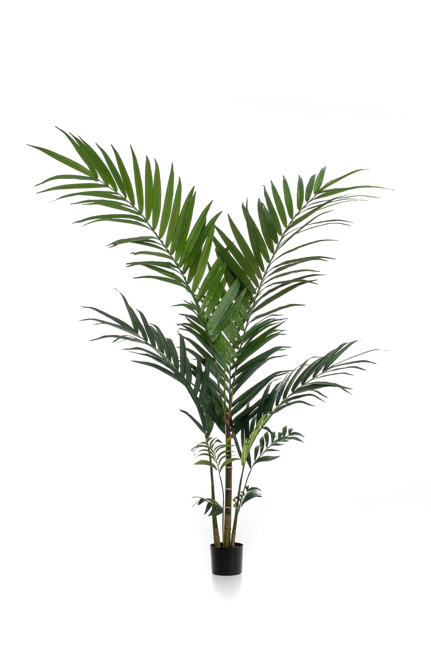 Kunstplant - Kentiapalm - 150 cm - Forest Plants