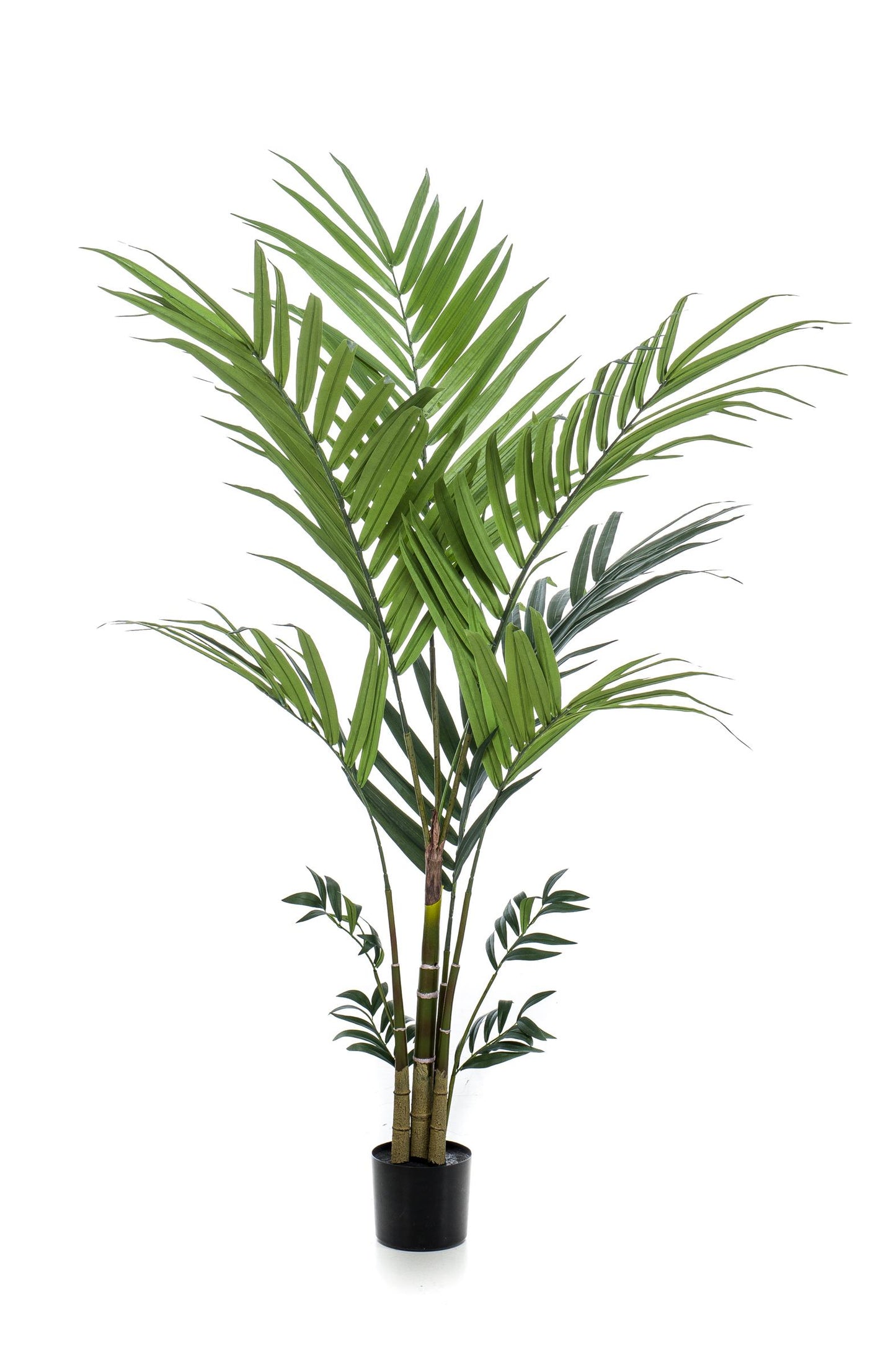 Kunstplant - Kentia - Kentiapalm - 180 cm - Forest Plants