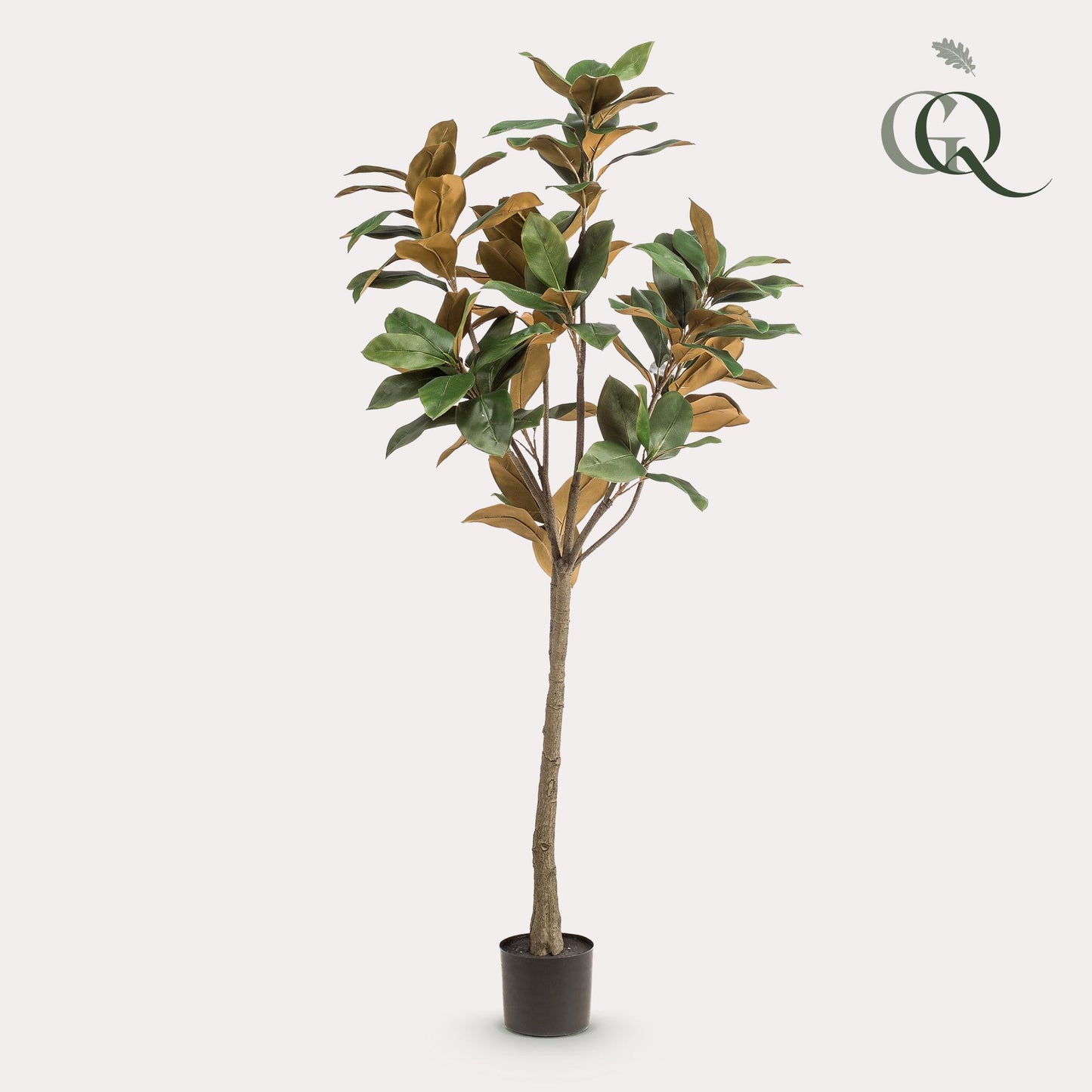 Kunstplant - Magnolia Grandiflora - 150 cm - Forest Plants