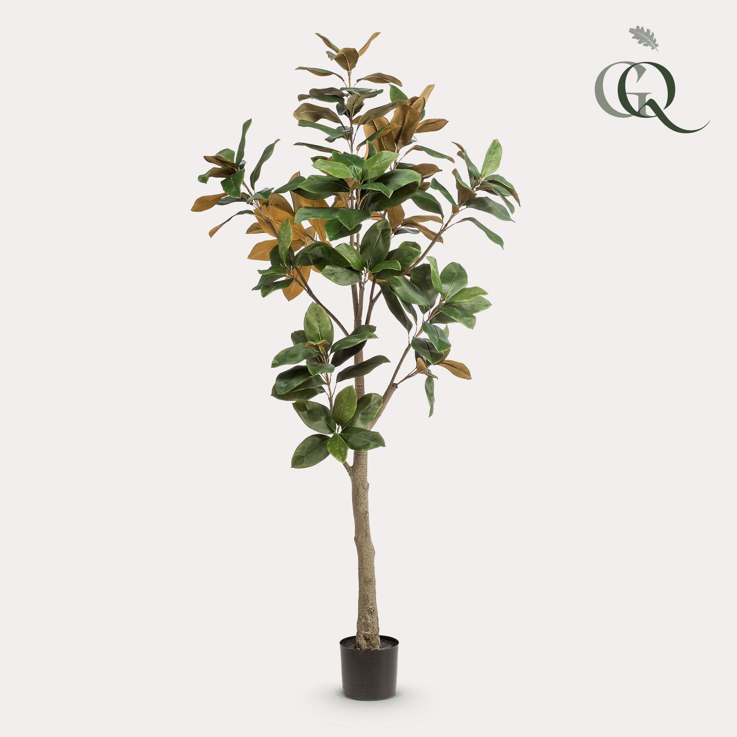Kunstplant - Magnolia Grandiflora - 180 cm - Forest Plants