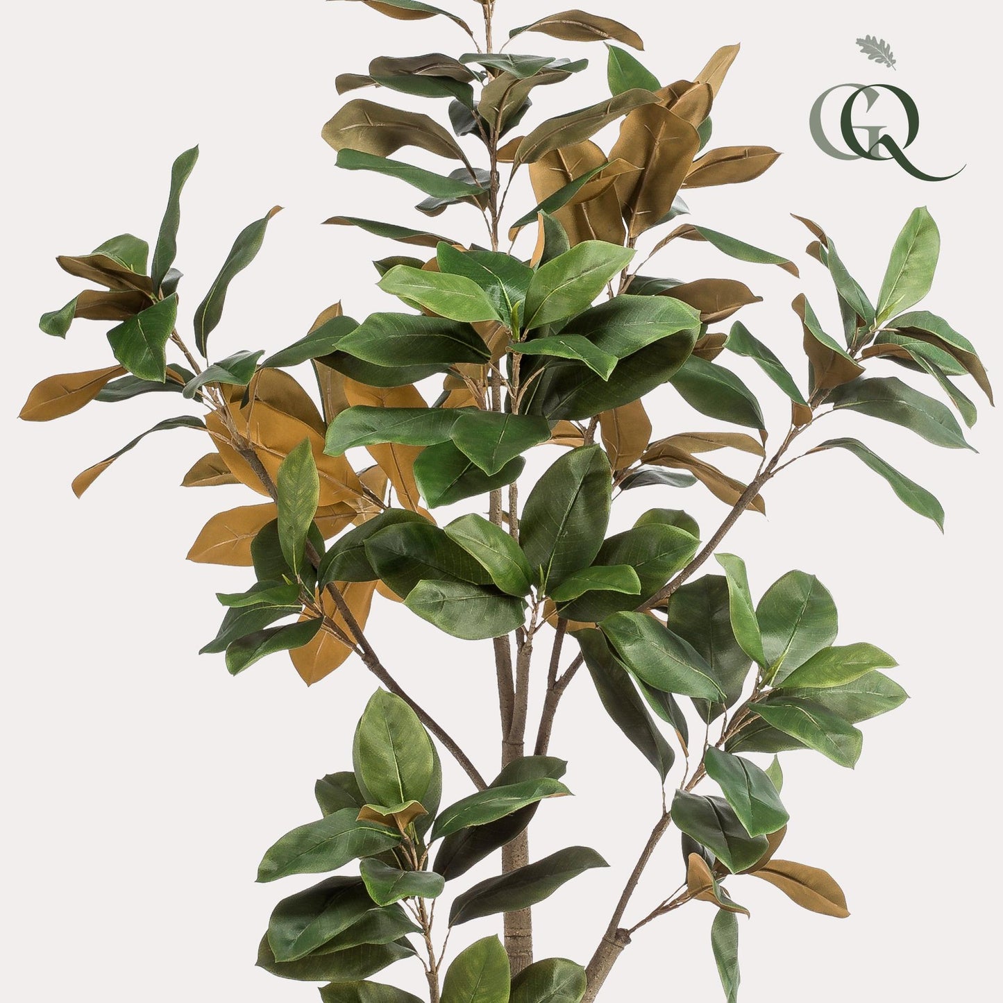 Kunstplant - Magnolia Grandiflora - 180 cm - Forest Plants