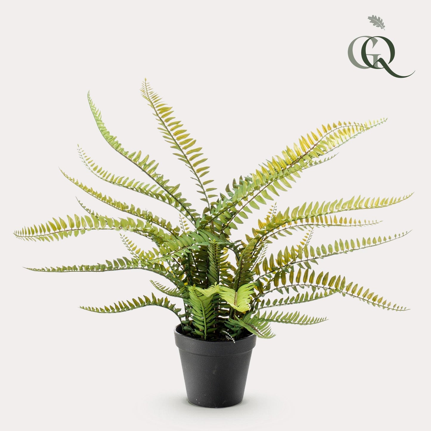 Kunstplant - Nephrolepis Exaltata - Bostonvaren - 55 cm - Forest Plants