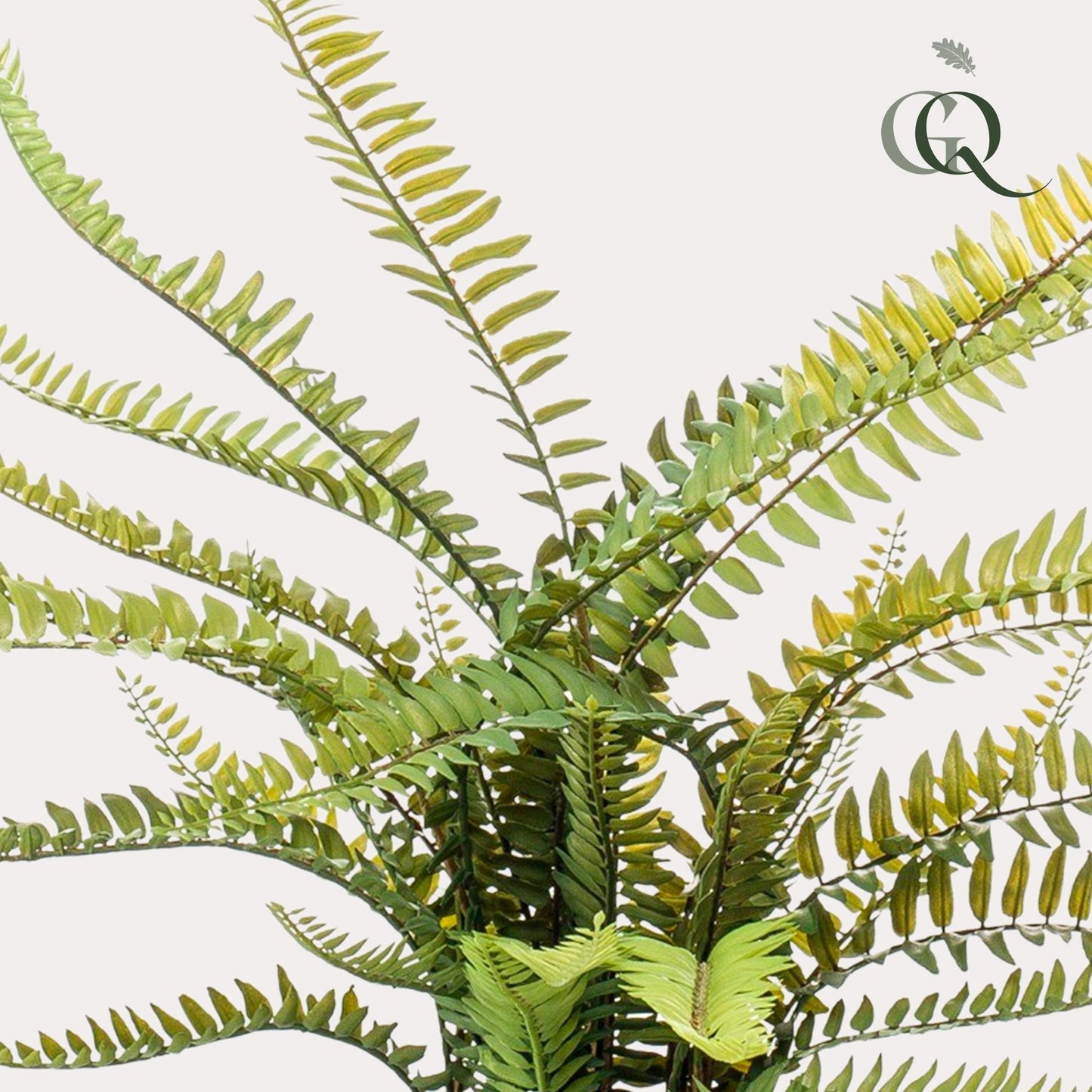 Kunstplant - Nephrolepis Exaltata - Bostonvaren - 55 cm - Forest Plants