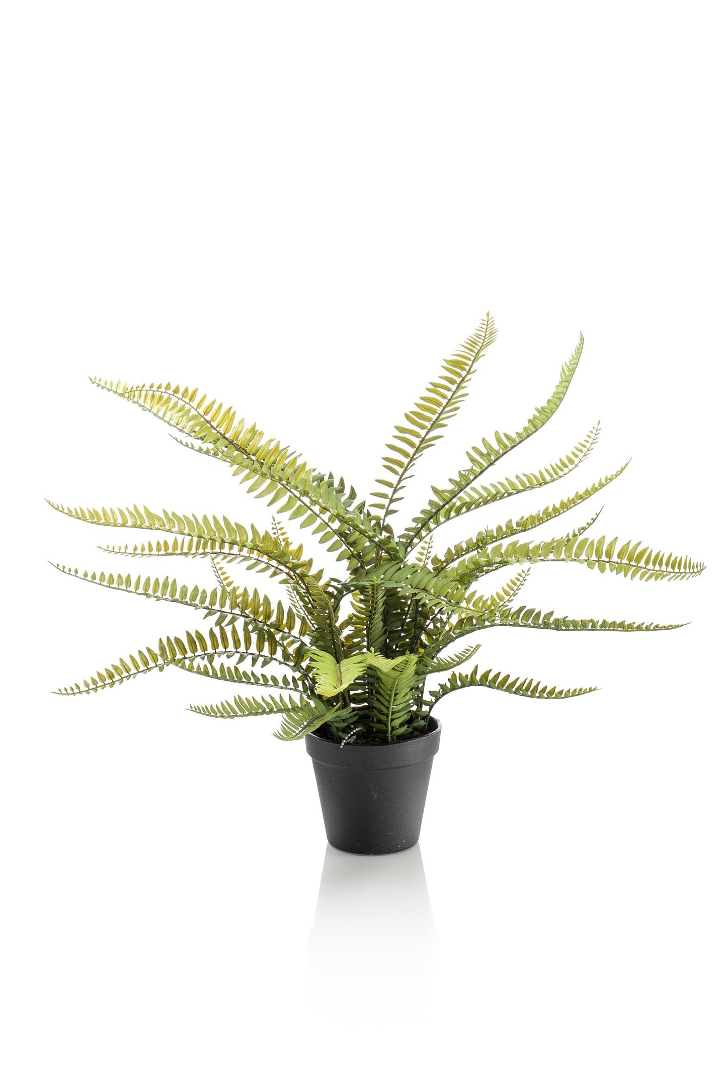 Kunstplant - Nephrolepis Exaltata - Bostonvaren - 55 cm - Forest Plants