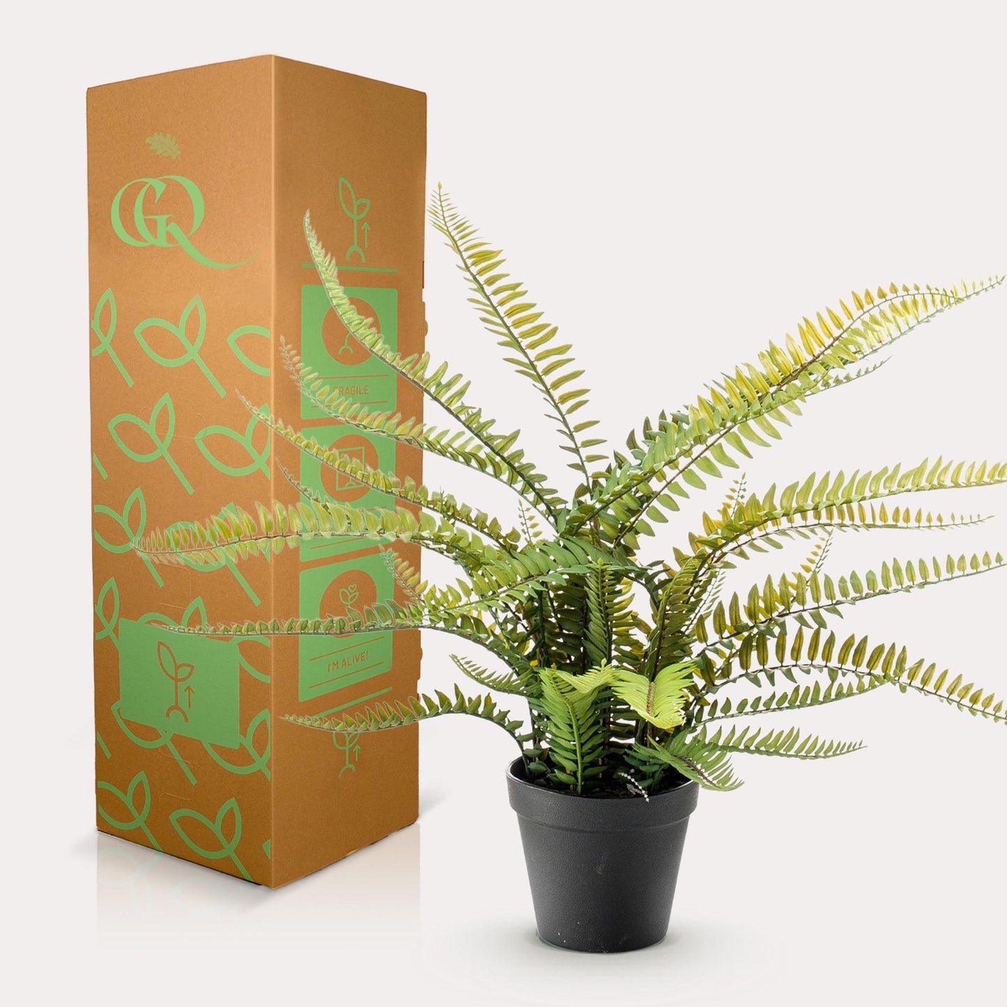 Kunstplant - Nephrolepis Exaltata - Bostonvaren - 55 cm - Forest Plants