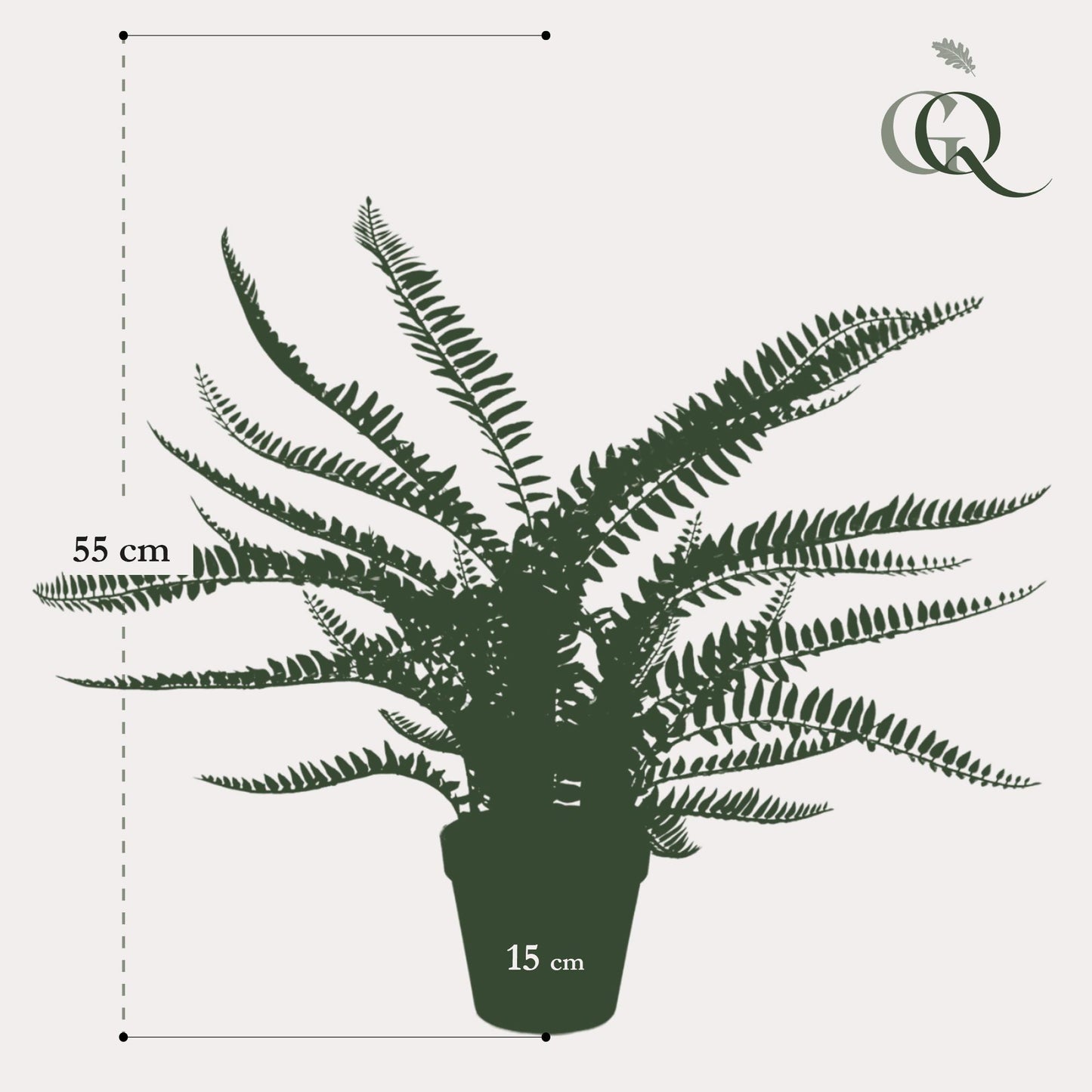 Kunstplant - Nephrolepis Exaltata - Bostonvaren - 55 cm - Forest Plants
