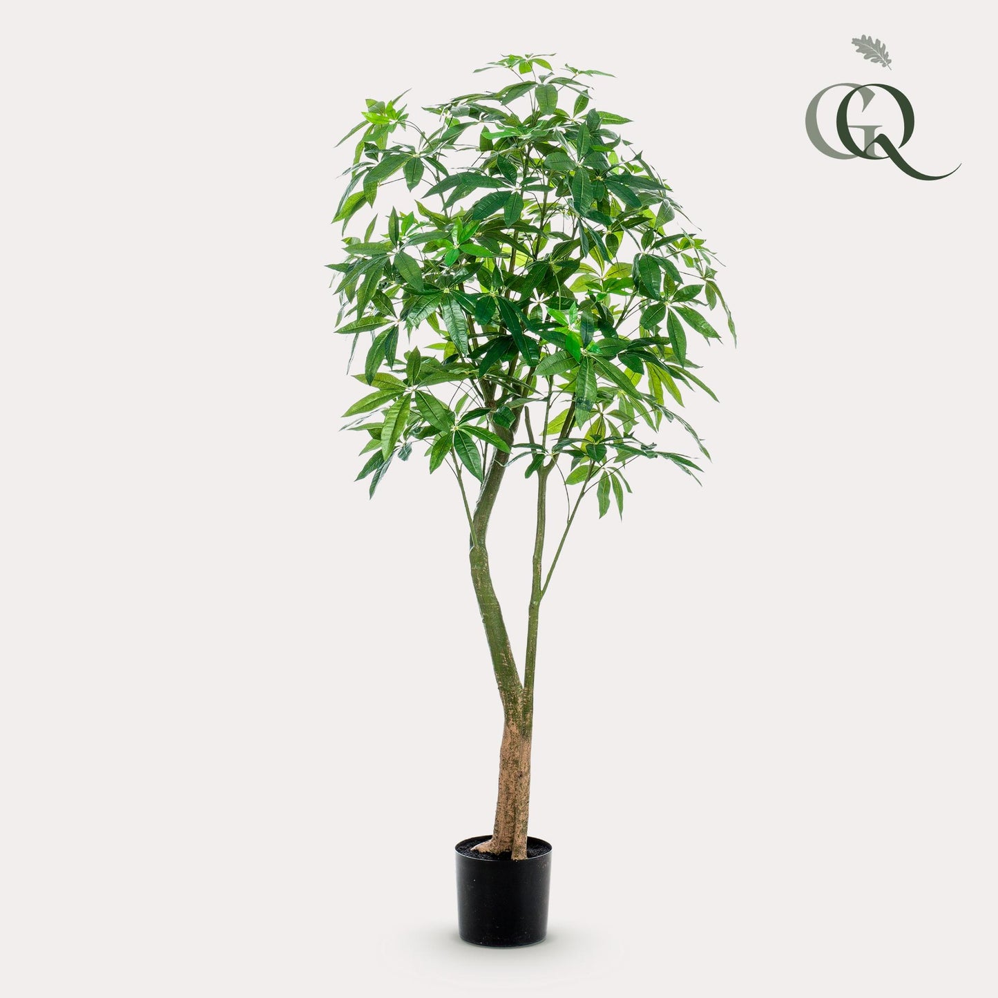 Kunstplant - Pachira Aquatica - Geldboom - 180 cm - Forest Plants