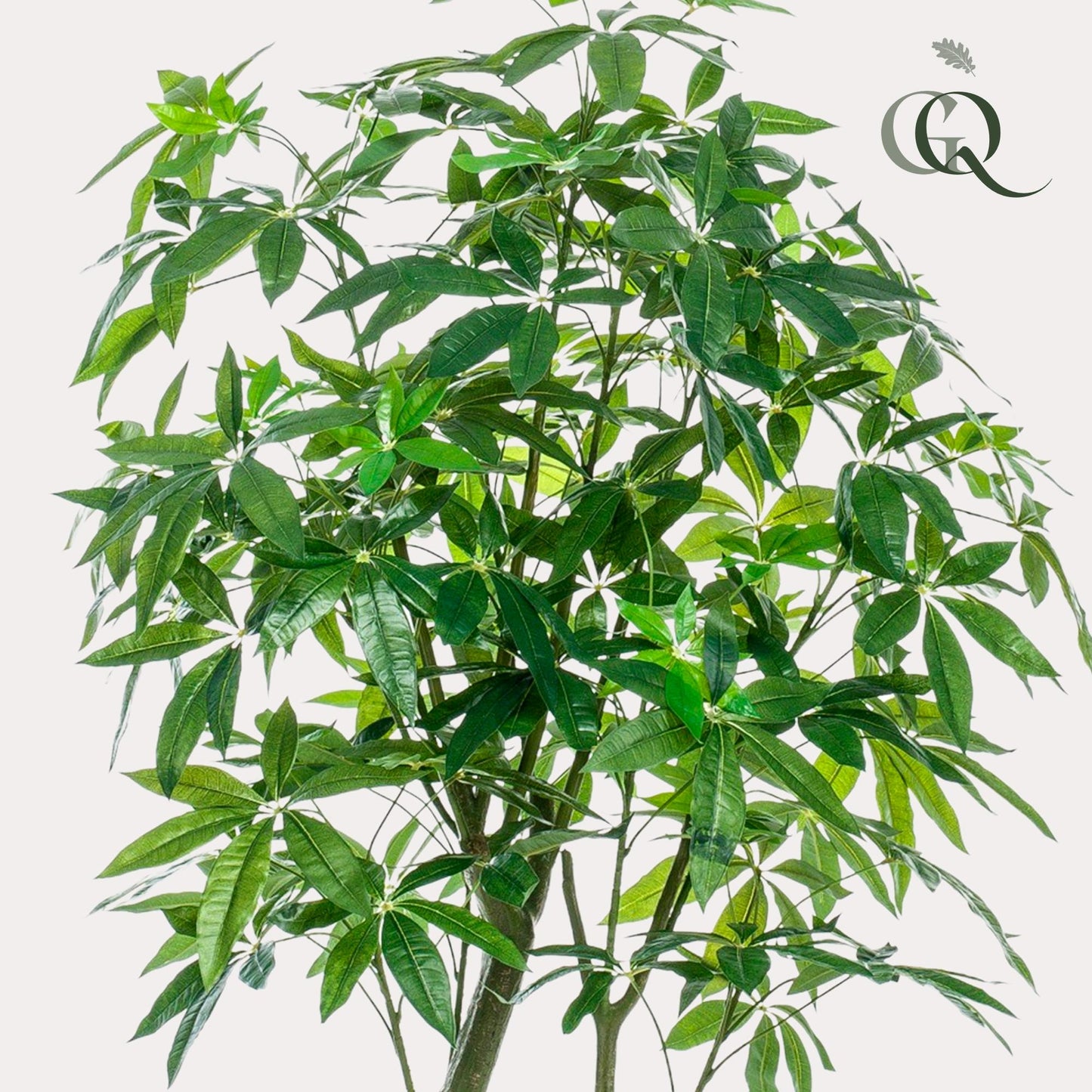 Kunstplant - Pachira Aquatica - Geldboom - 180 cm - Forest Plants