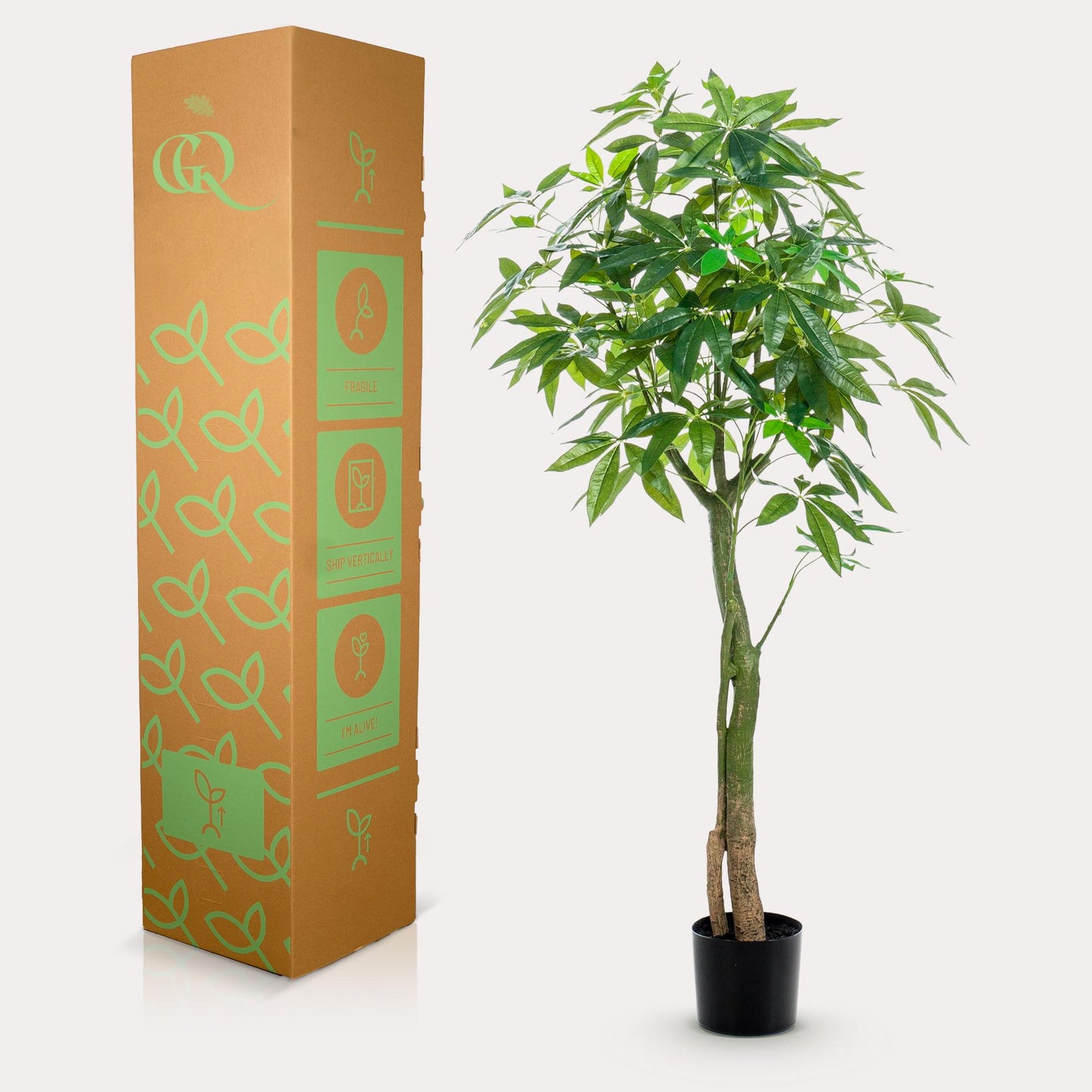 Kunstplant - Pachira Aquatica - Geldboom - 150 cm - Forest Plants