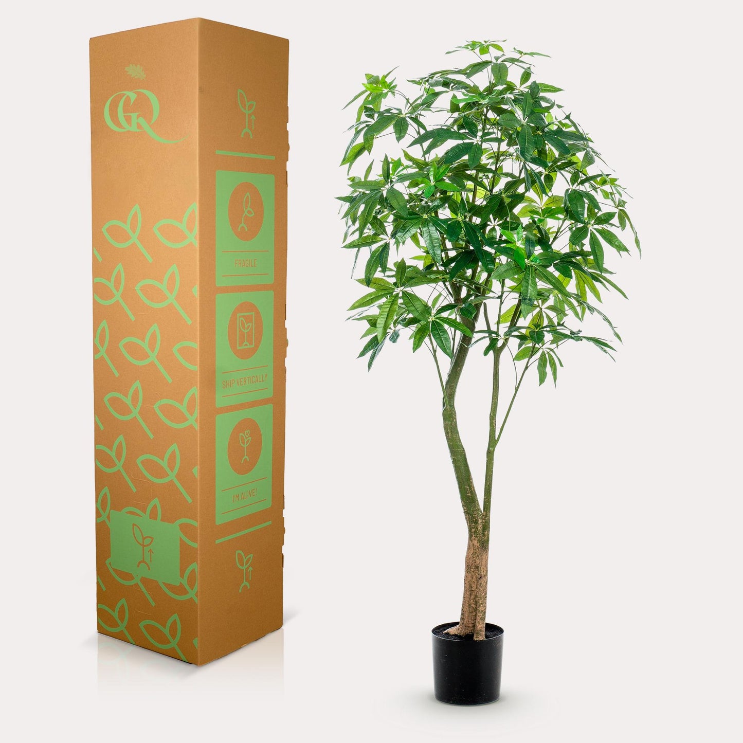 Kunstplant - Pachira Aquatica - Geldboom - 180 cm - Forest Plants