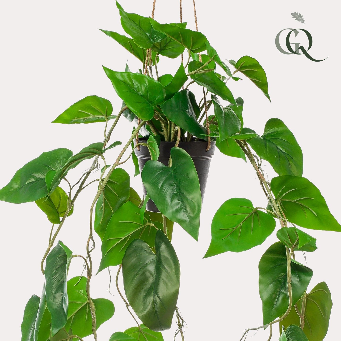 Kunstplant - Philodendron scandens - Klimmende Boomliefhebber - 80 cm - Forest Plants