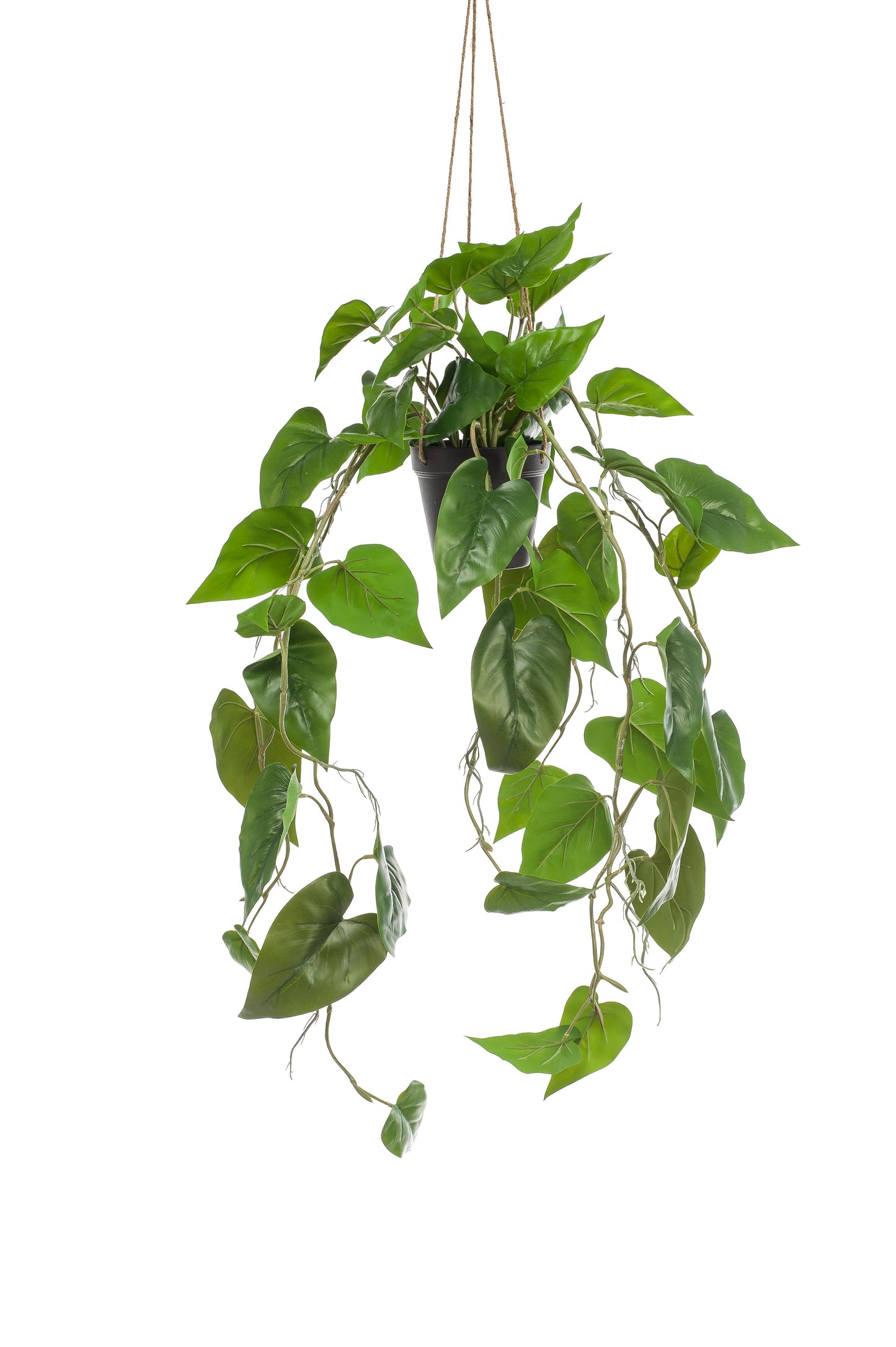 Kunstplant - Philodendron scandens - Klimmende Boomliefhebber - 80 cm - Forest Plants