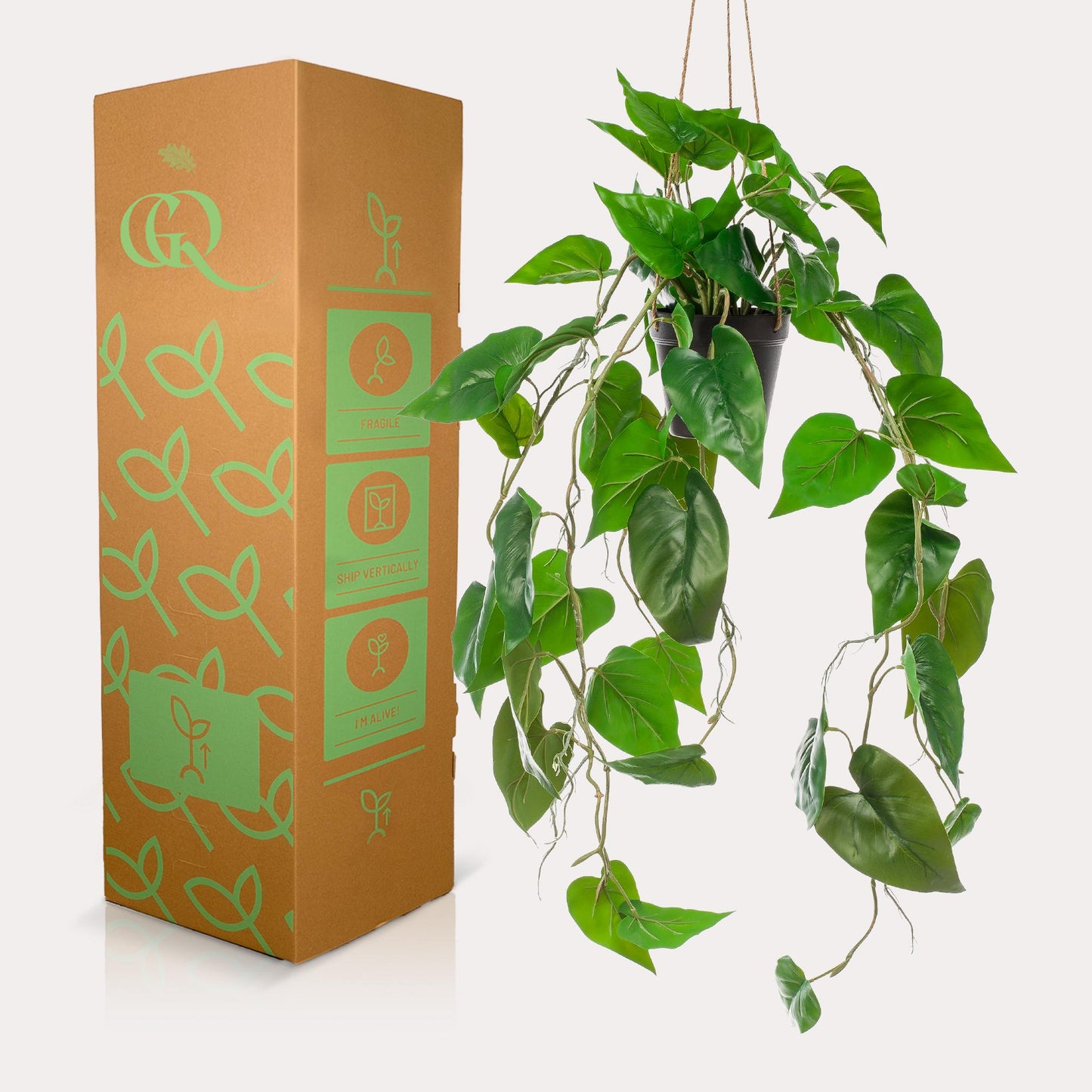 Kunstplant - Philodendron scandens - Klimmende Boomliefhebber - 80 cm - Forest Plants