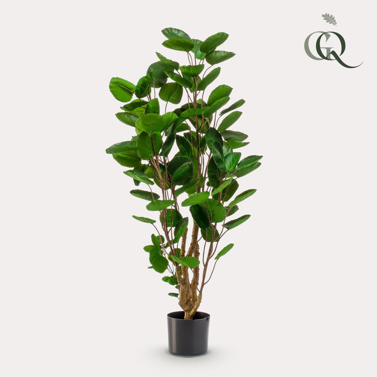 Kunstplant - Polyscias - Aralia - 105 cm - Forest Plants