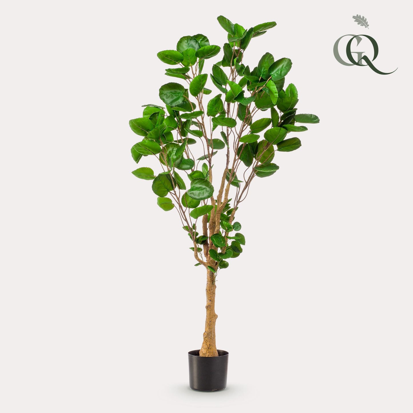 Kunstplant - Polyscias - Aralia - 150 cm - Forest Plants