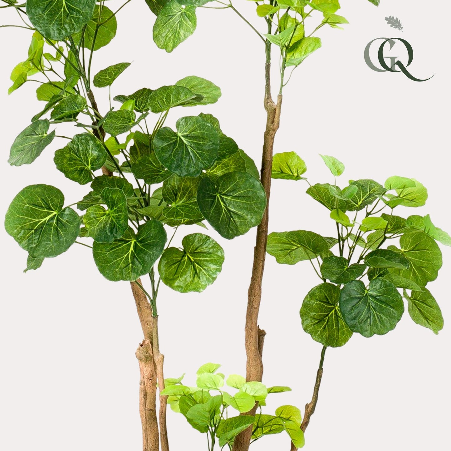 Kunstplant - Polyscias - Aralia - 135 cm - Forest Plants