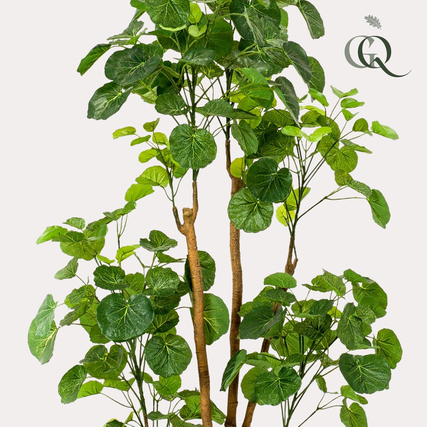 Kunstplant - Polyscias - Aralia - 160 cm - Forest Plants