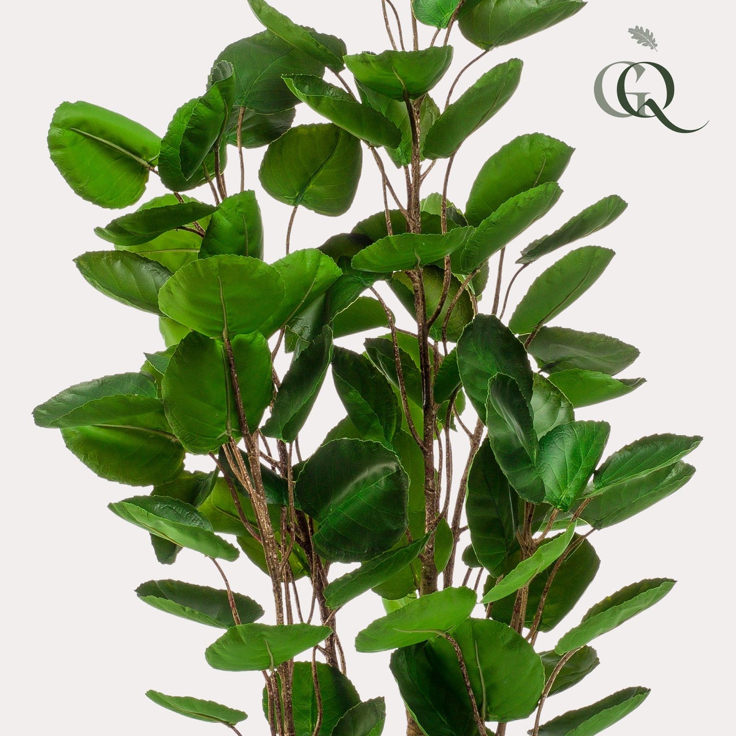 Kunstplant - Polyscias - Aralia - 105 cm - Forest Plants