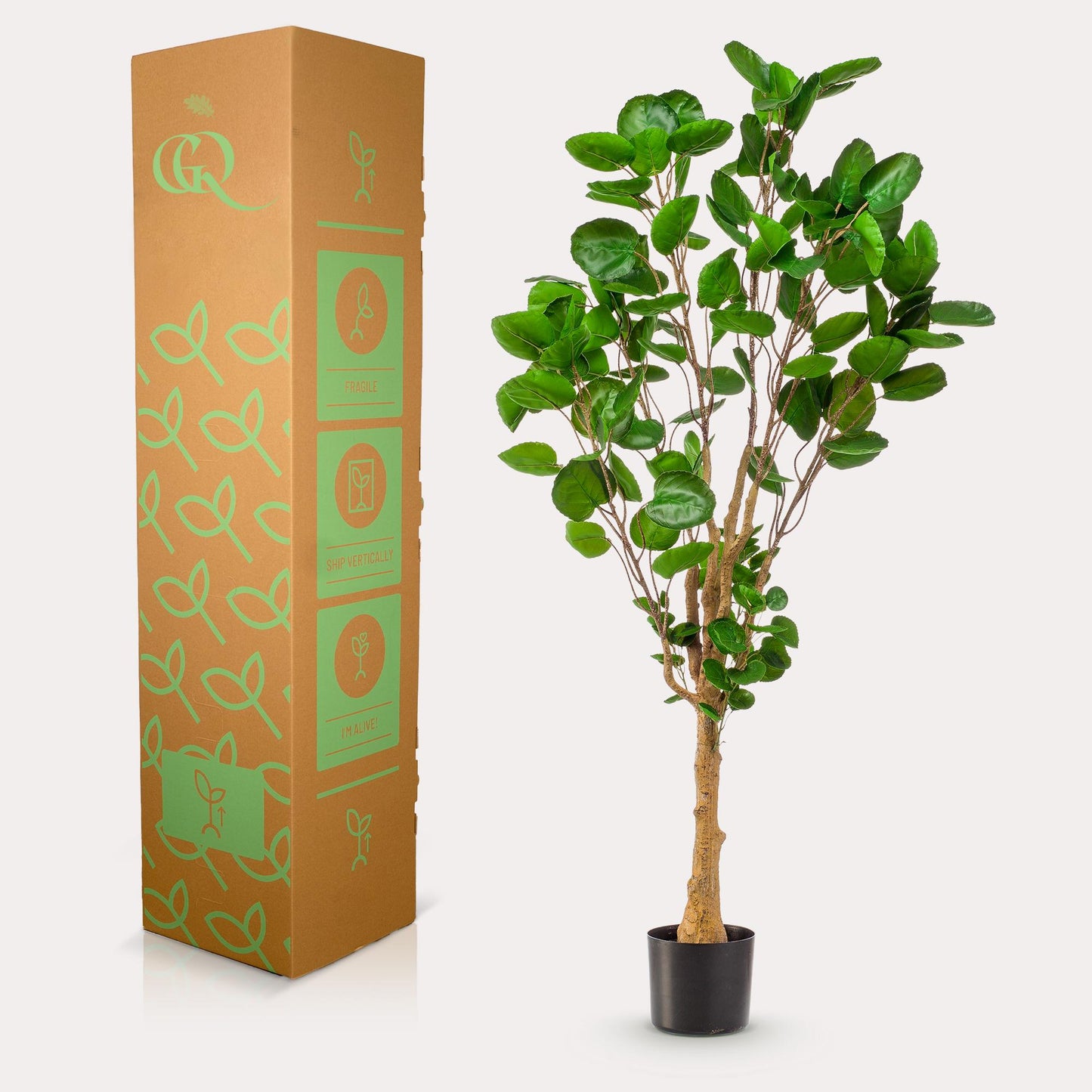 Kunstplant - Polyscias - Aralia - 150 cm - Forest Plants