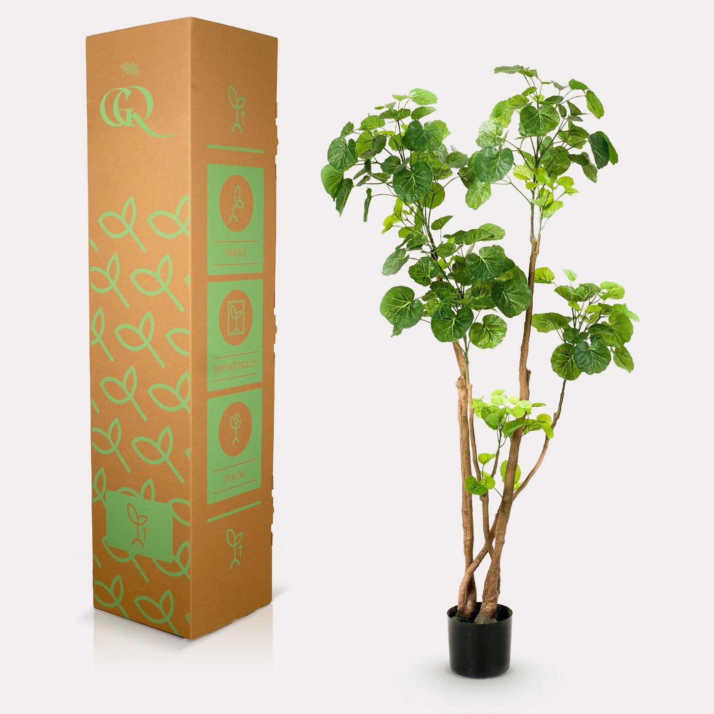 Kunstplant - Polyscias - Aralia - 135 cm - Forest Plants
