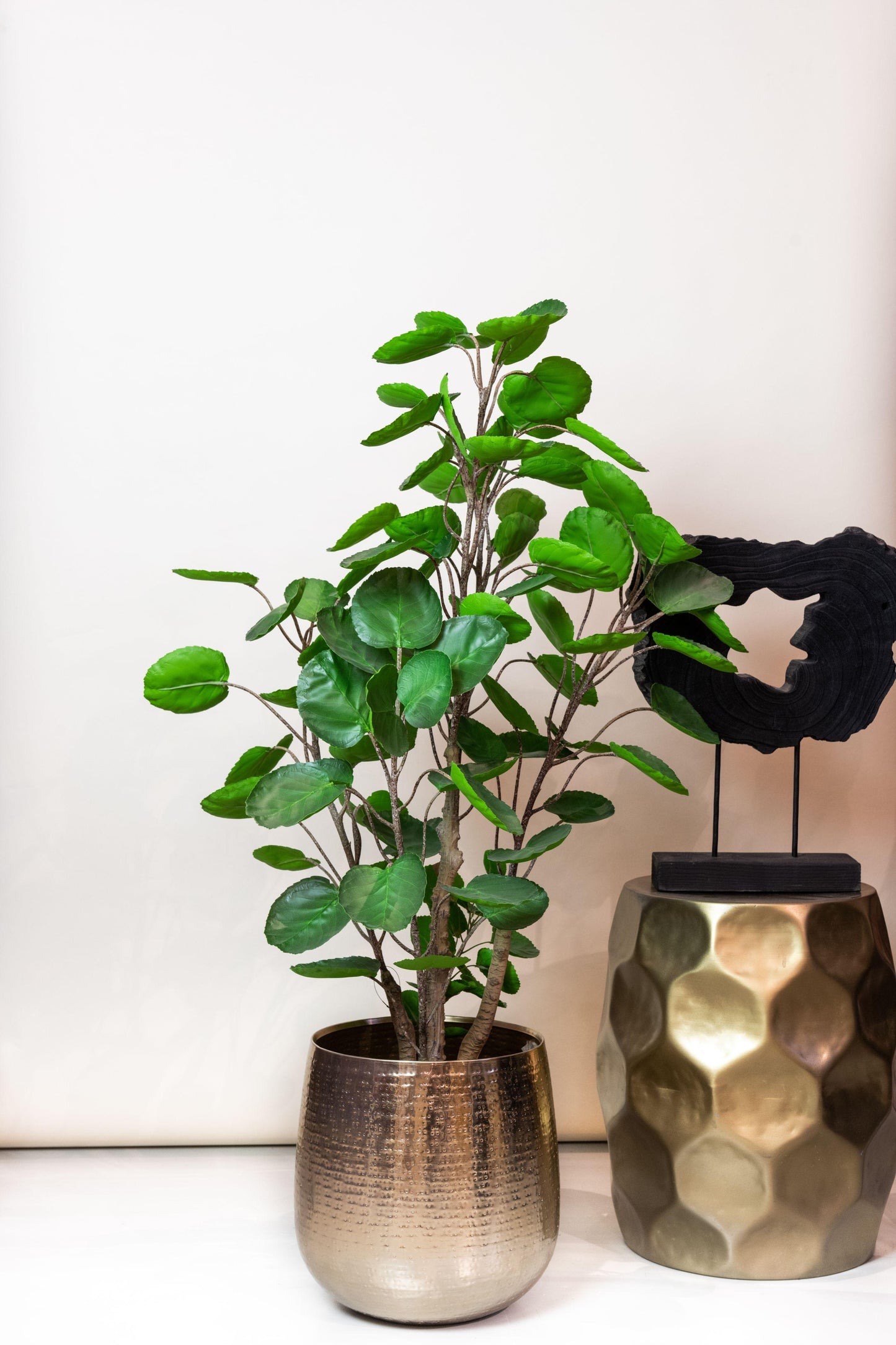 Kunstplant - Polyscias - Aralia - 105 cm - Forest Plants
