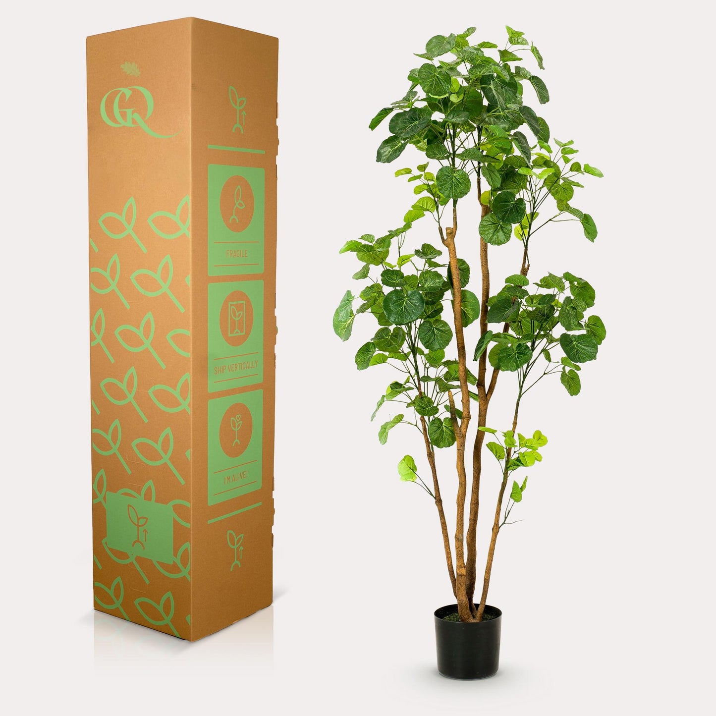 Kunstplant - Polyscias - Aralia - 160 cm - Forest Plants