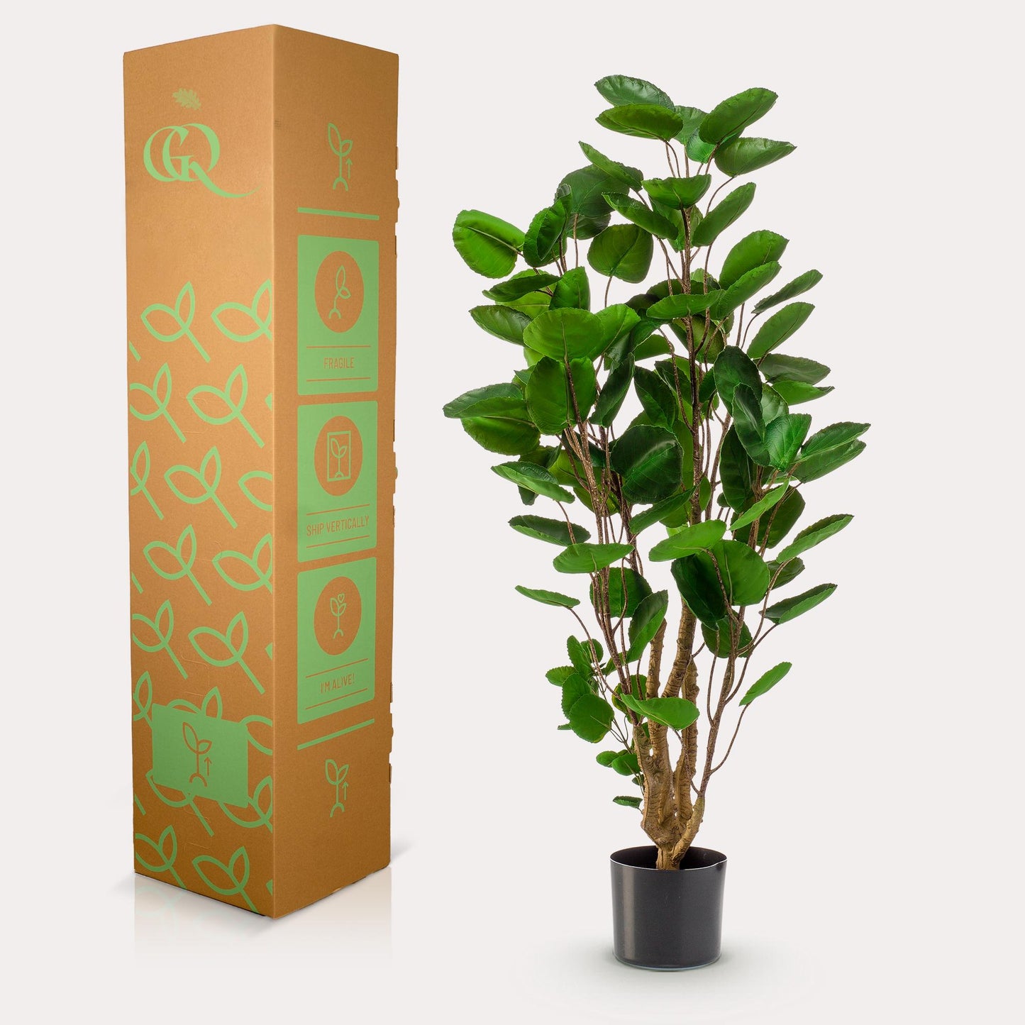 Kunstplant - Polyscias - Aralia - 105 cm - Forest Plants