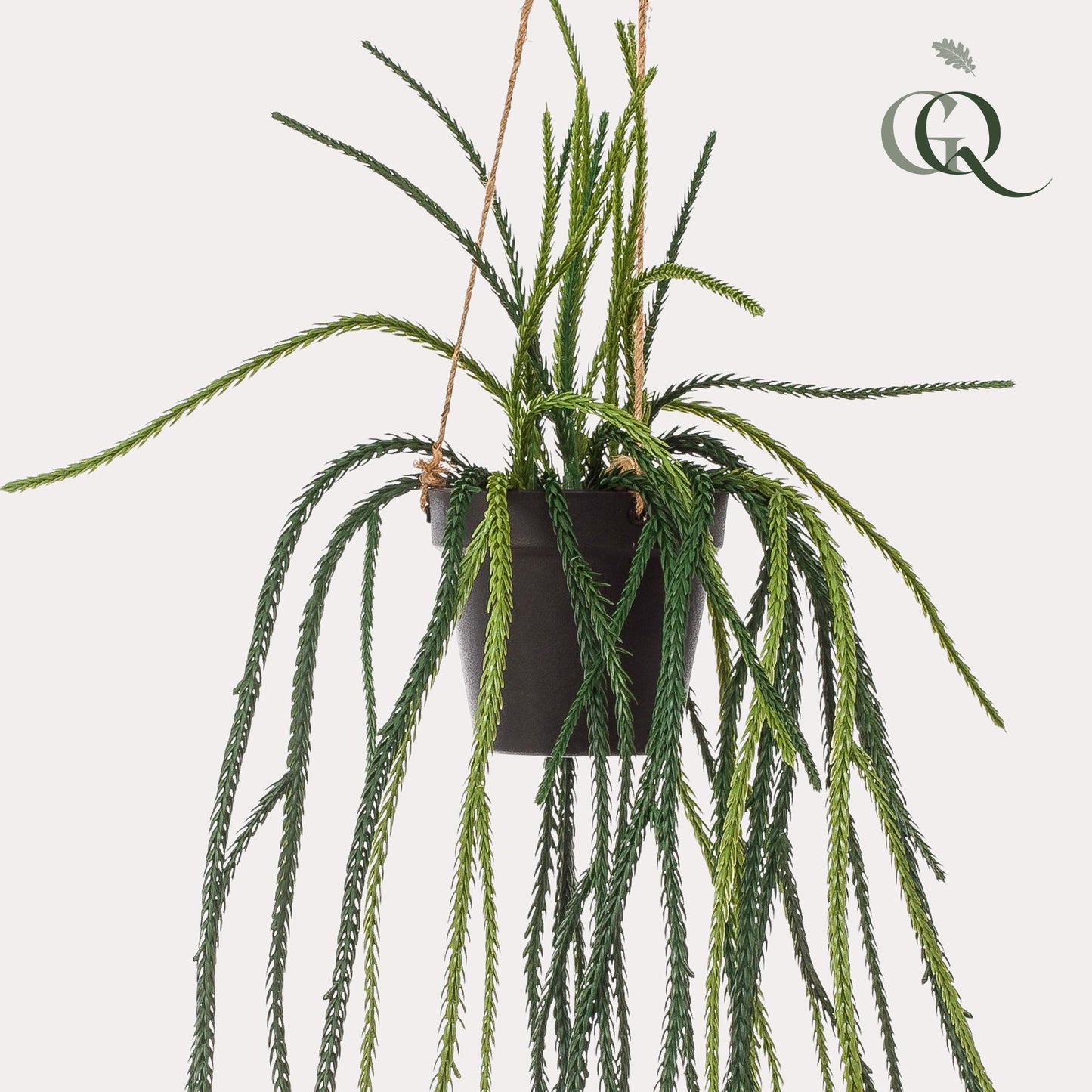 Kunstplant - Rhypsalis - Koraalcactus - 85 cm - Forest Plants