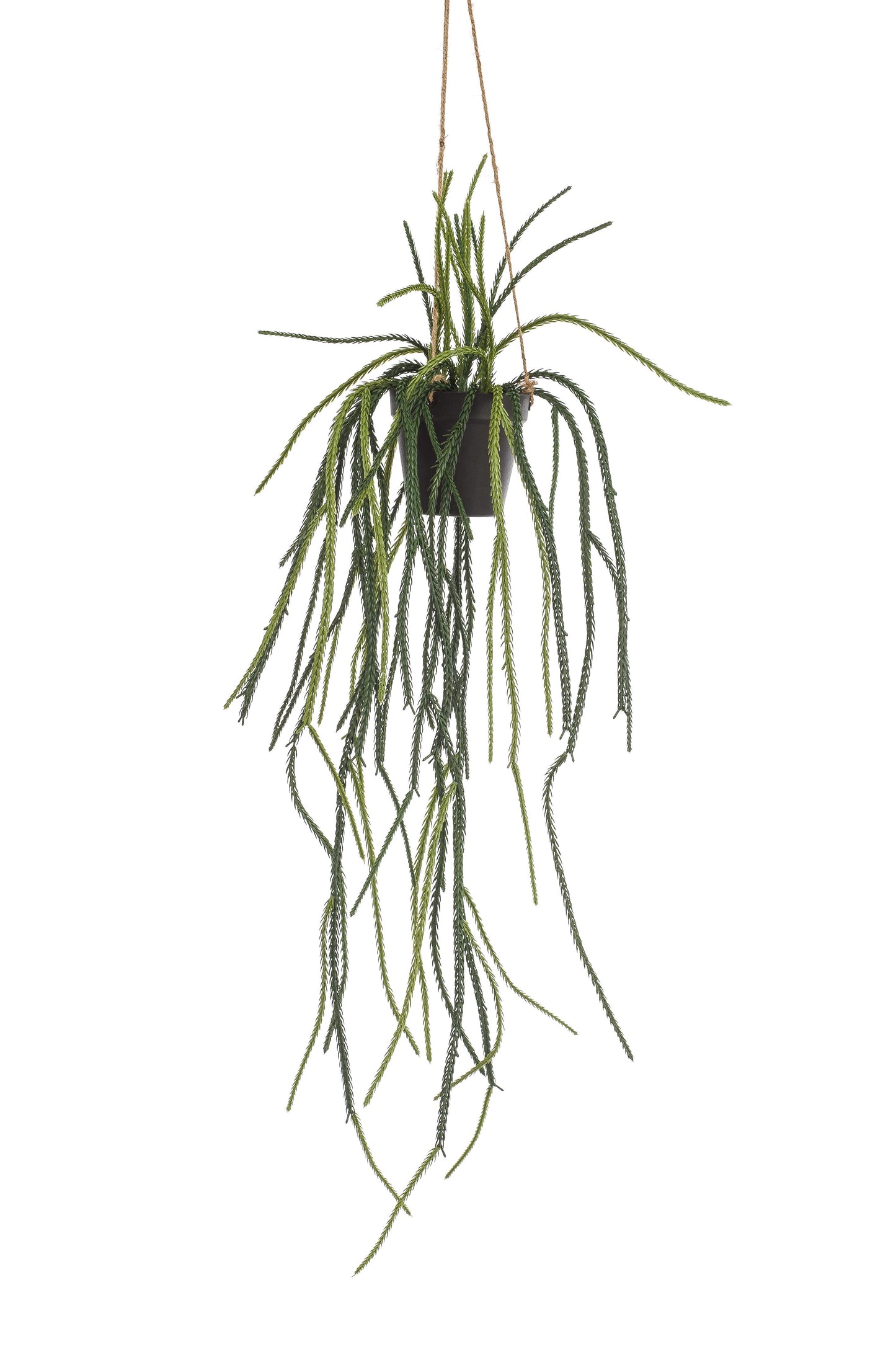 Kunstplant - Rhypsalis - Koraalcactus - 85 cm - Forest Plants