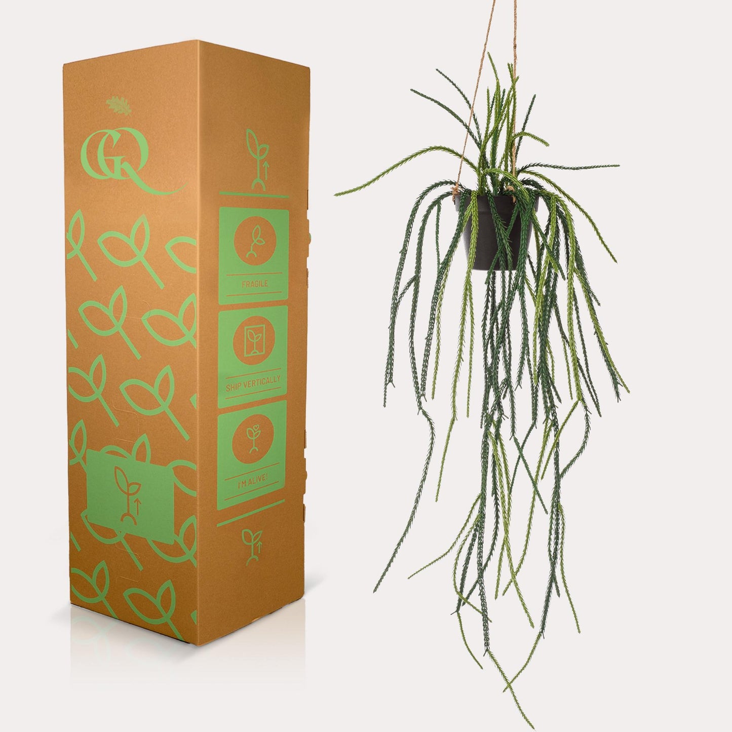 Kunstplant - Rhypsalis - Koraalcactus - 85 cm - Forest Plants