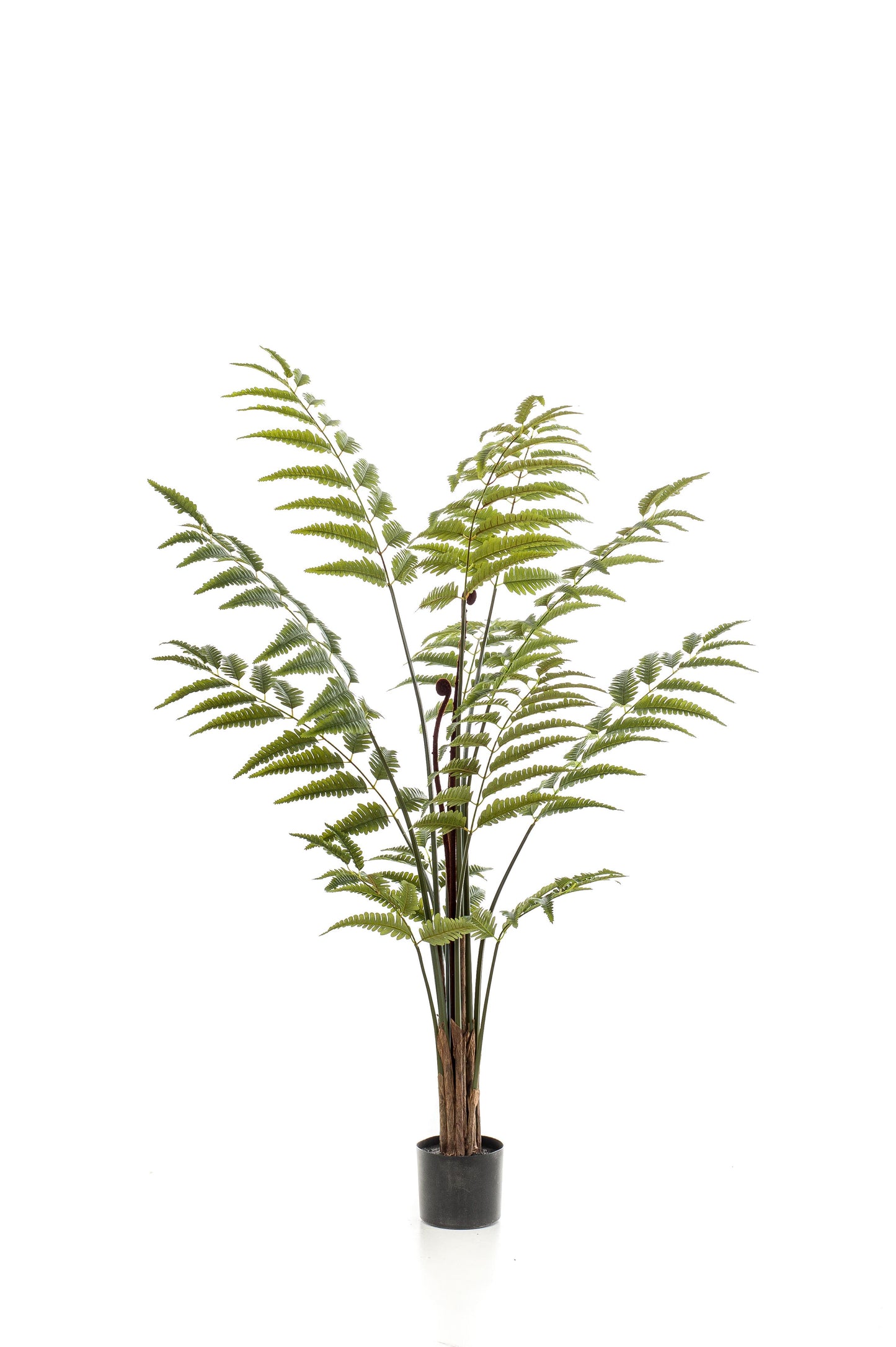 Kunstplant - Rumohra Adiantiformis - Ledervaren - 150 cm - Forest Plants