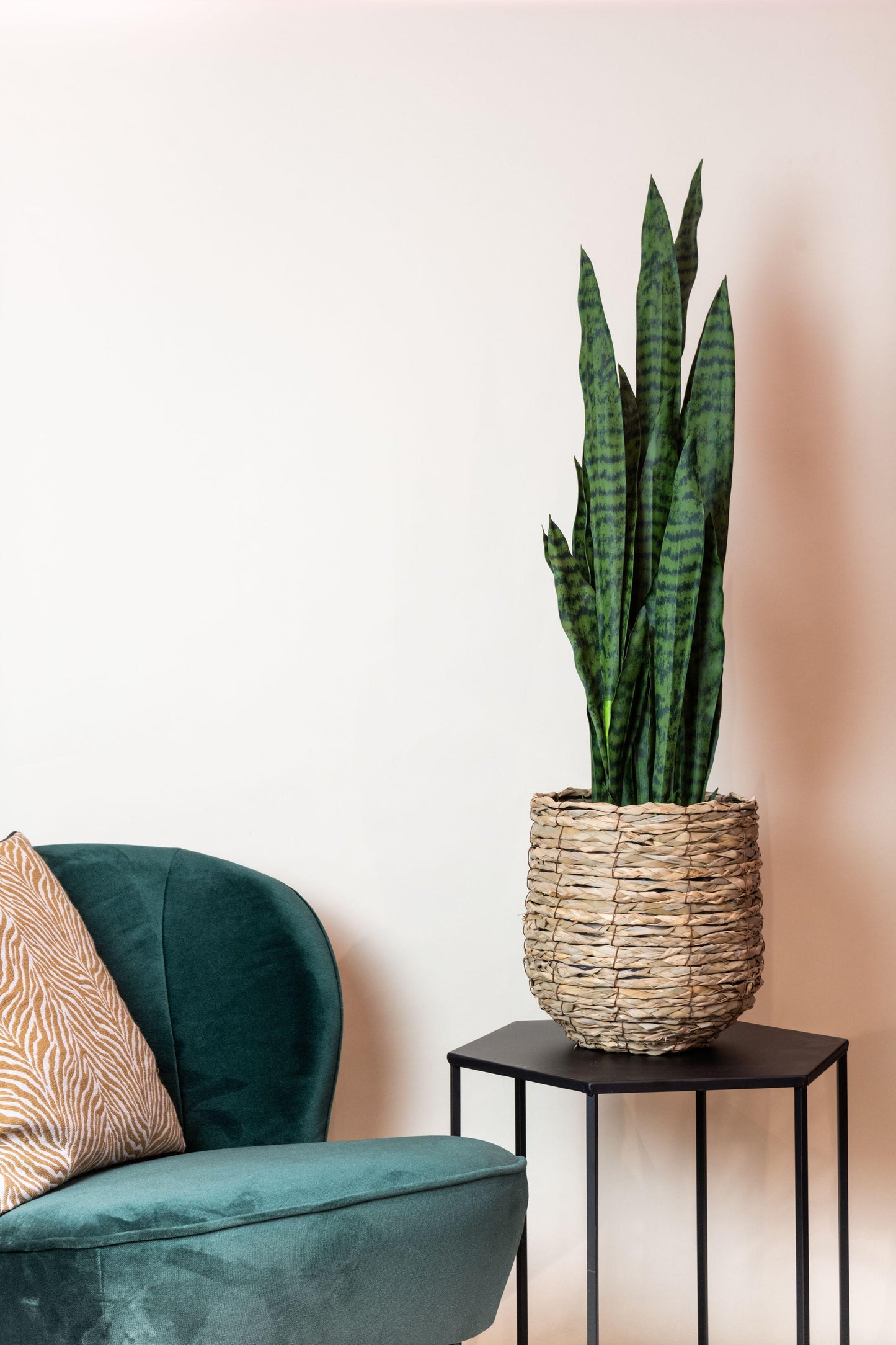 Kunstplant - Sanseveria black coral - Vrouwentong - 97 cm - Forest Plants