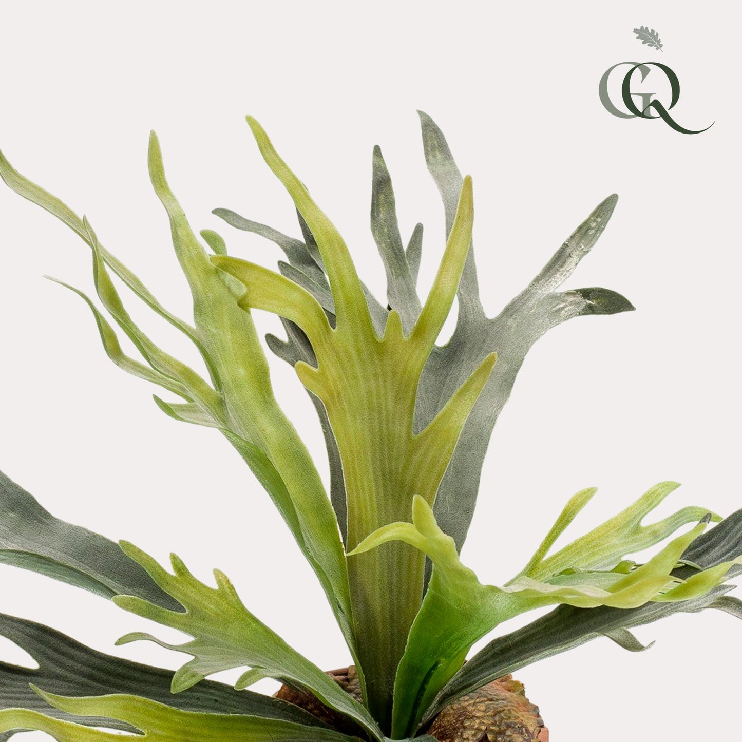 Kunstplant - Staghorn Fern - Hertshoorn - 50 cm - Forest Plants