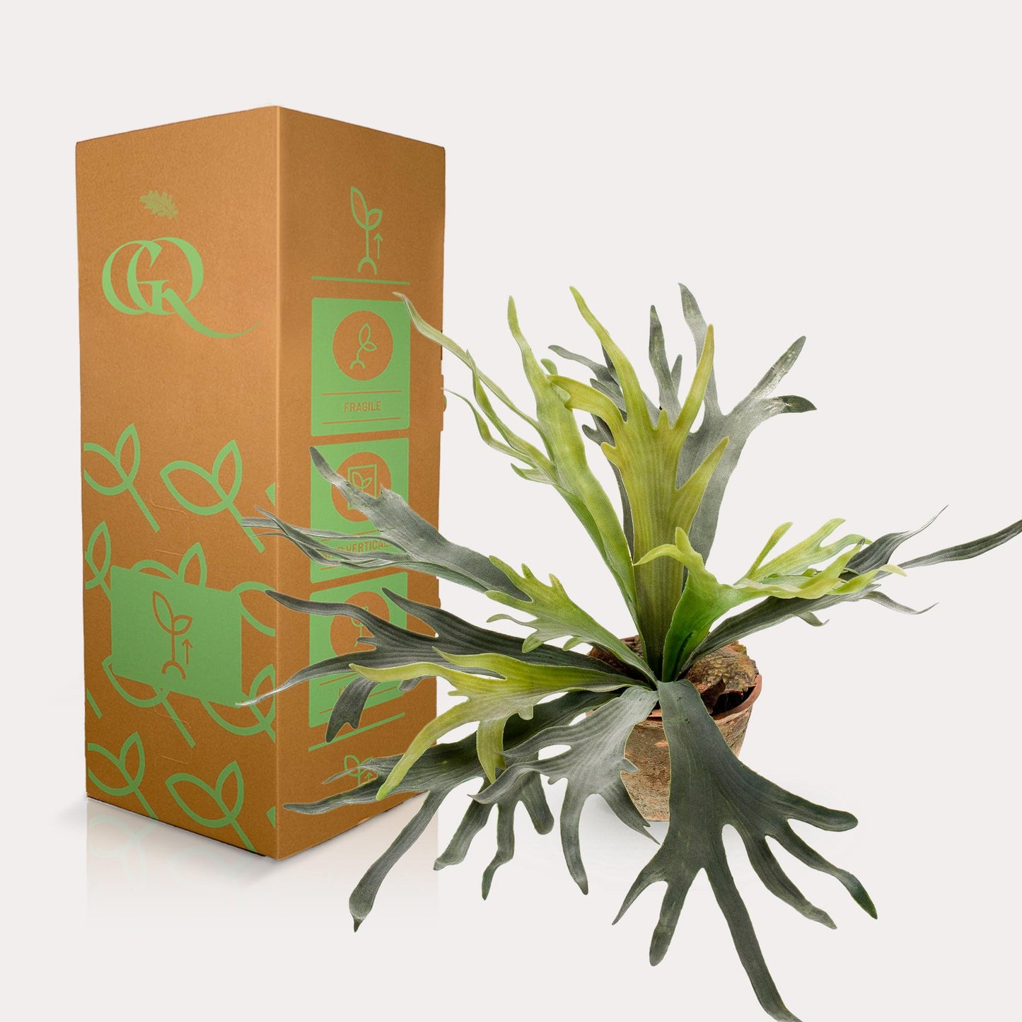 Kunstplant - Staghorn Fern - Hertshoorn - 50 cm - Forest Plants