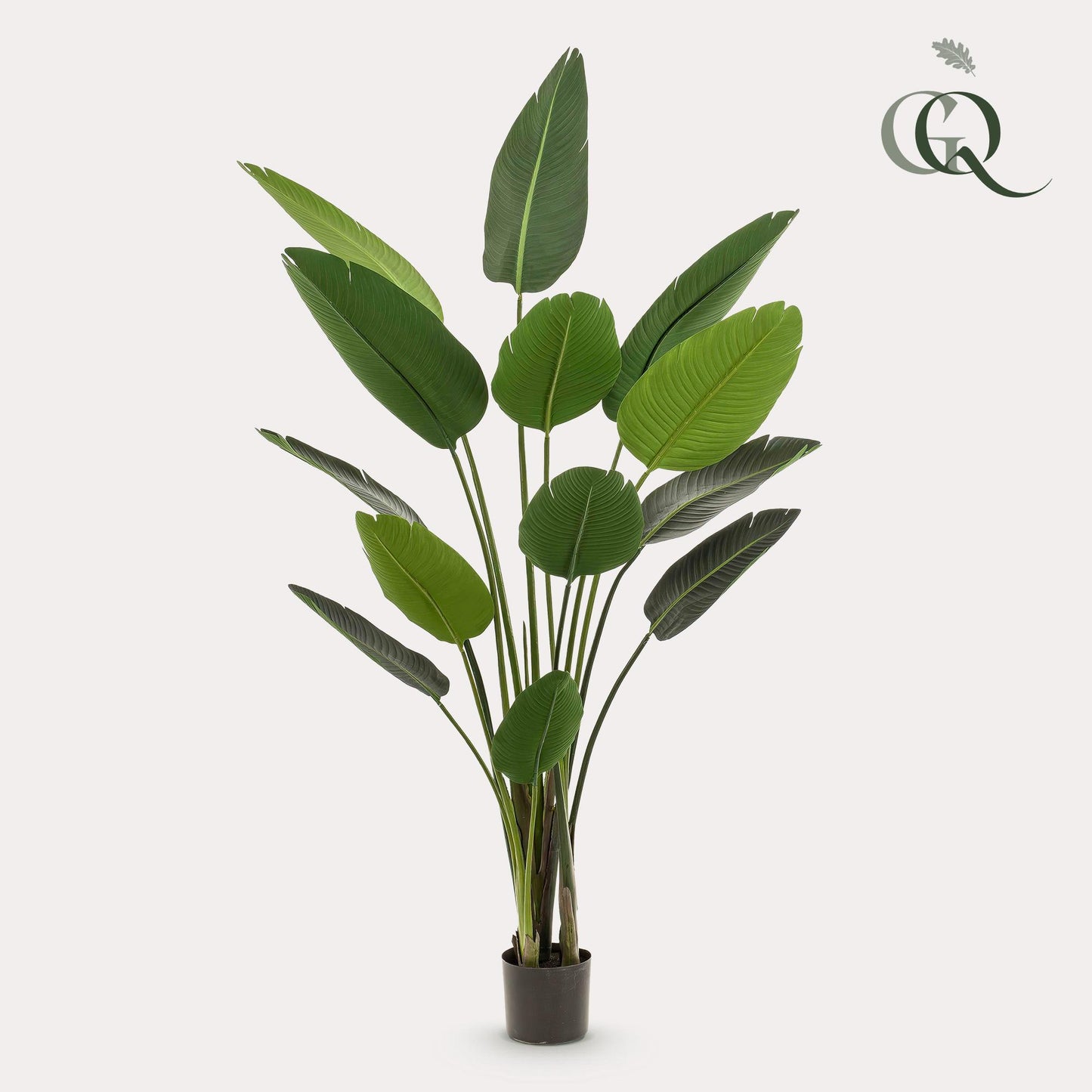 Kunstplant - Strelitzia Nicolai - Paradijsvogelbloem - 190 cm - Forest Plants