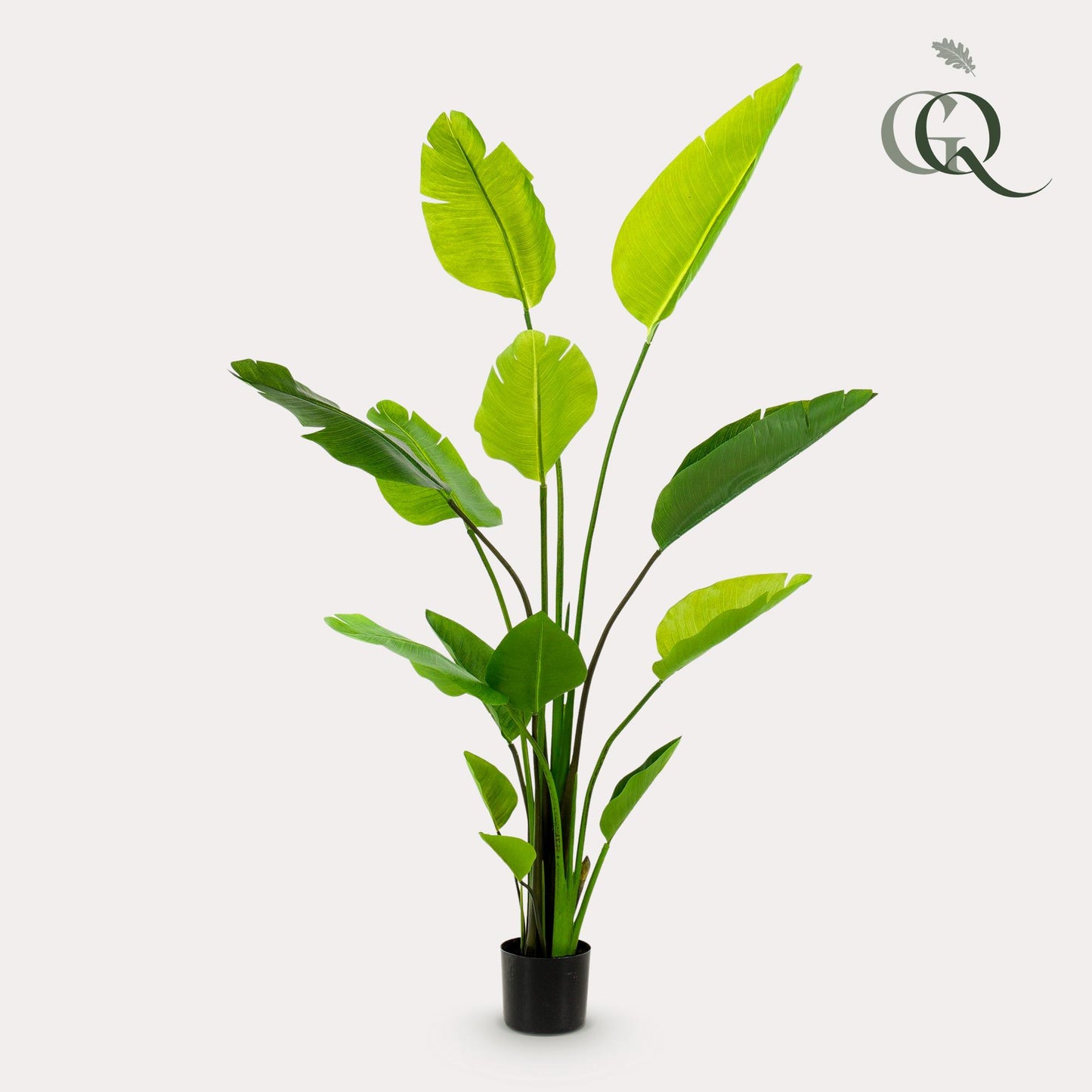 Kunstplant - Strelitzia Nicolai - Paradijsvogelbloem - 150 cm - Forest Plants