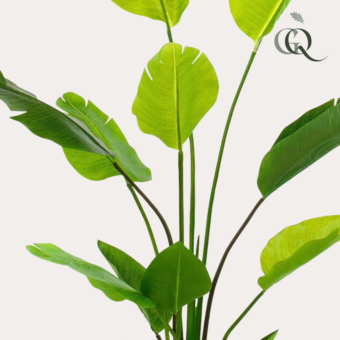 Kunstplant - Strelitzia Nicolai - Paradijsvogelbloem - 150 cm - Forest Plants