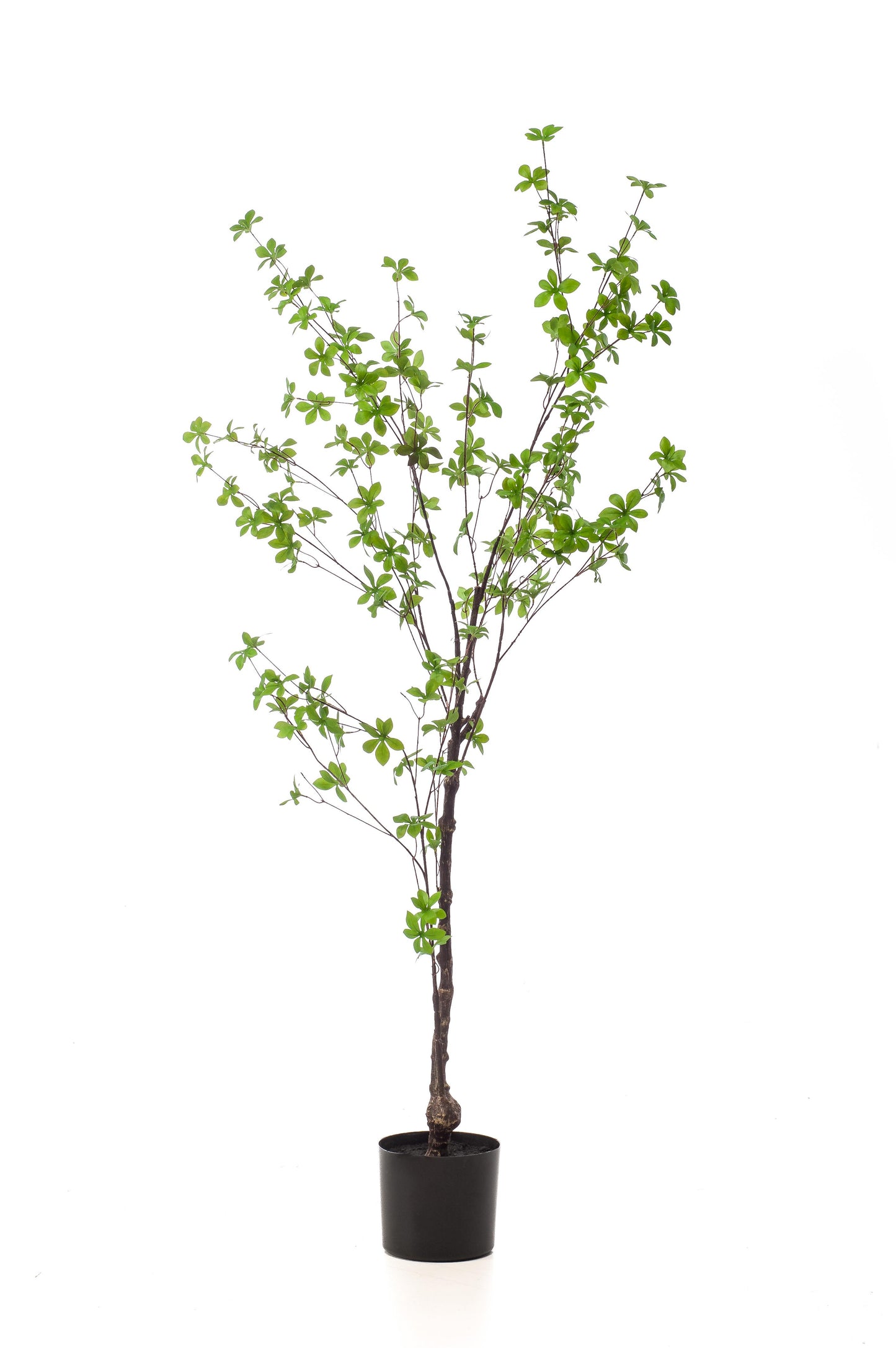Kunstplant - Tropaeolum Speciosum - Oost Indische Kers - 150 cm - Forest Plants