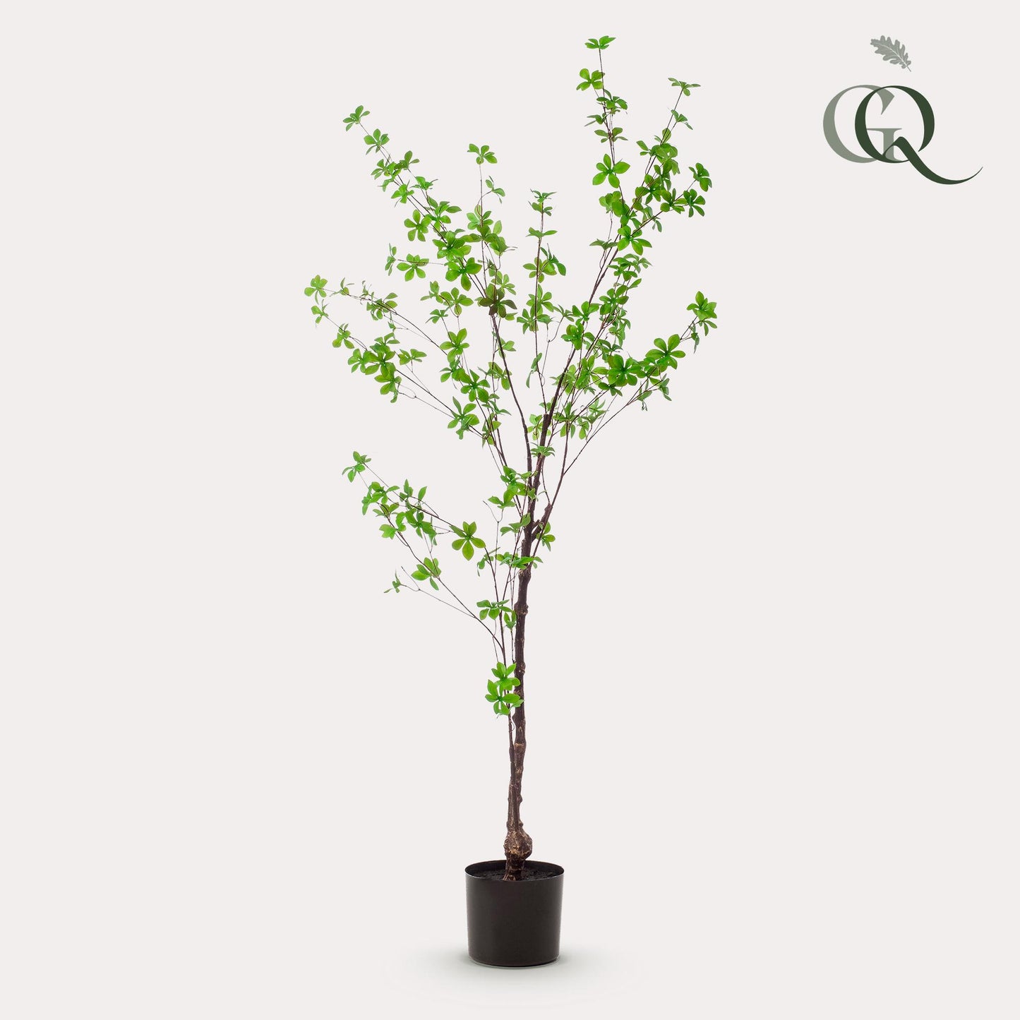 Kunstplant - Tropaeolum Speciosum - Oost Indische Kers - 150 cm - Forest Plants