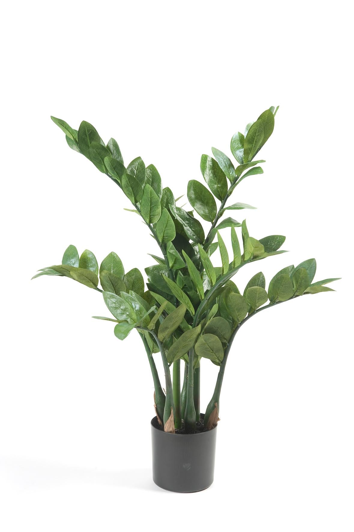 Kunstplant - Zamioculcas - Kamerpalm - 110 cm - Forest Plants