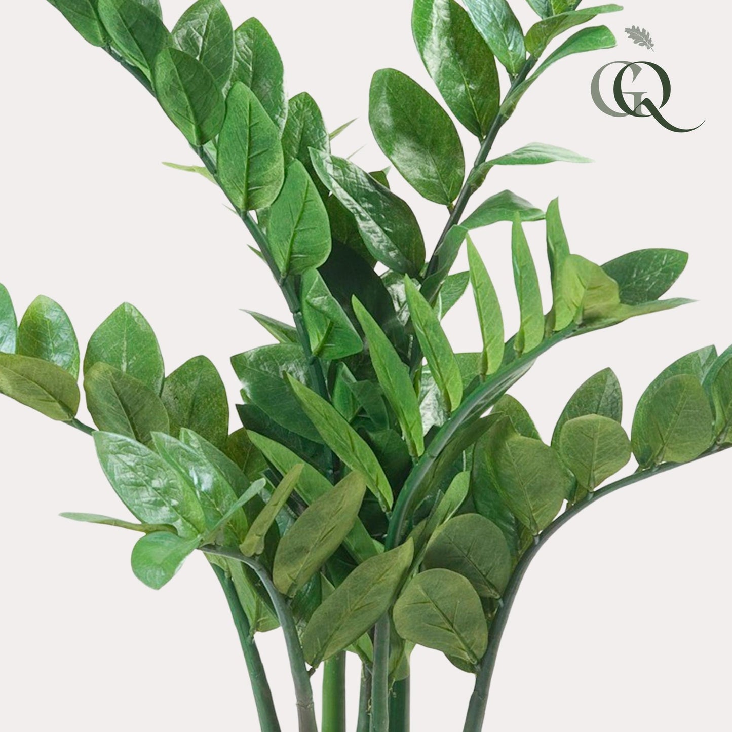 Kunstplant - Zamioculcas - Kamerpalm - 110 cm - Forest Plants