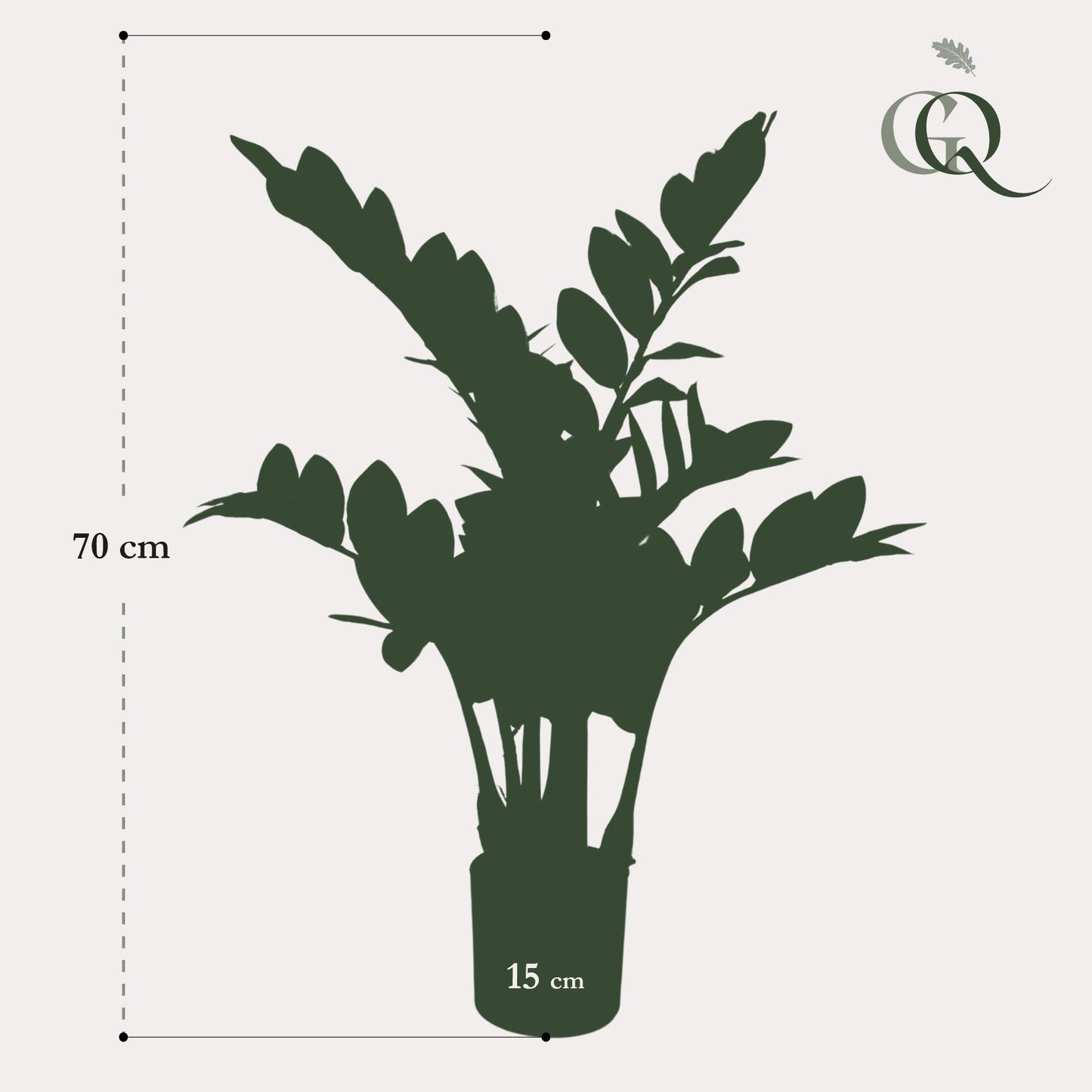 Kunstplant - Zamioculcas - Kamerpalm - 110 cm - Forest Plants
